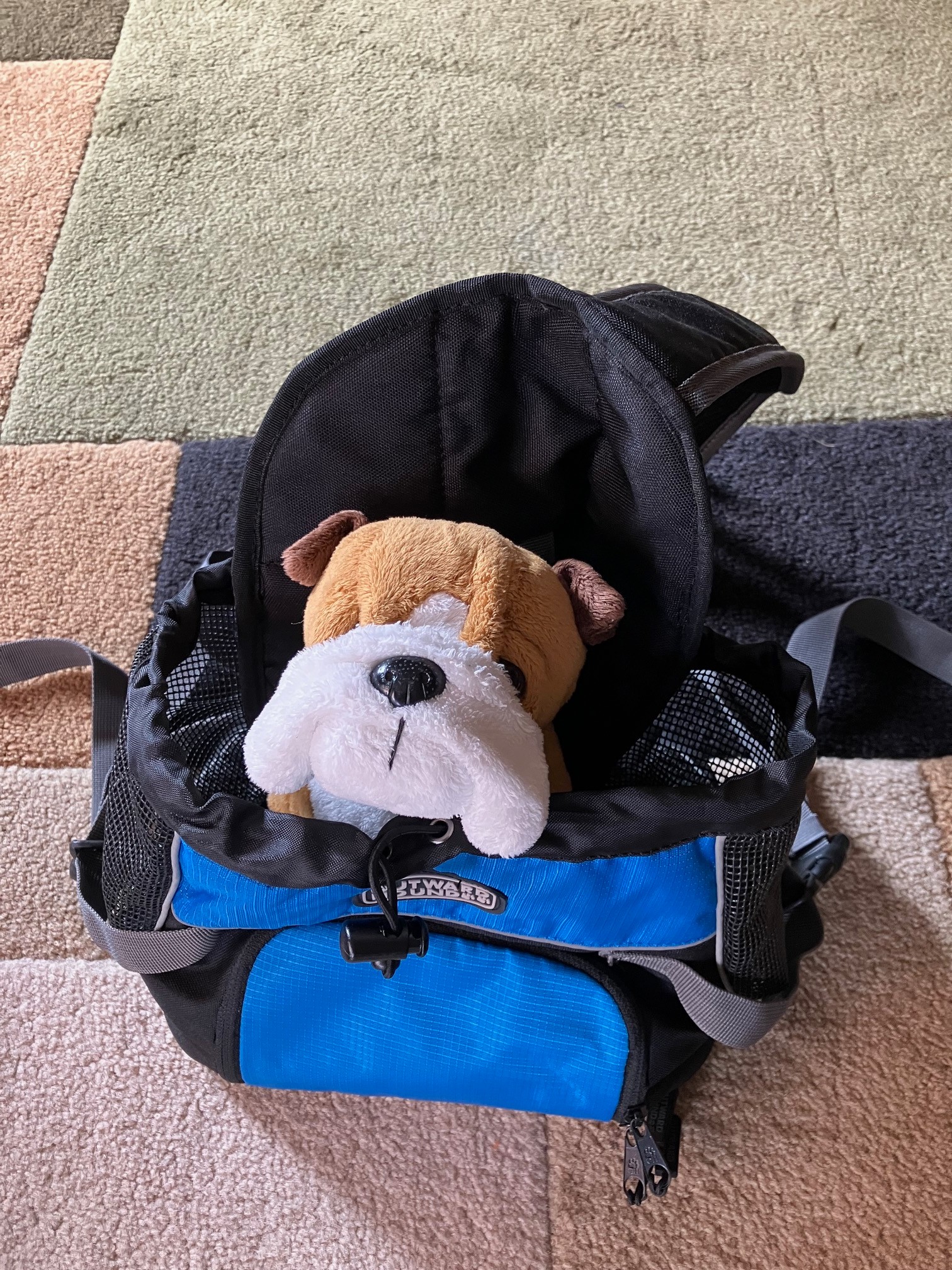 2 Small Dog Carriers