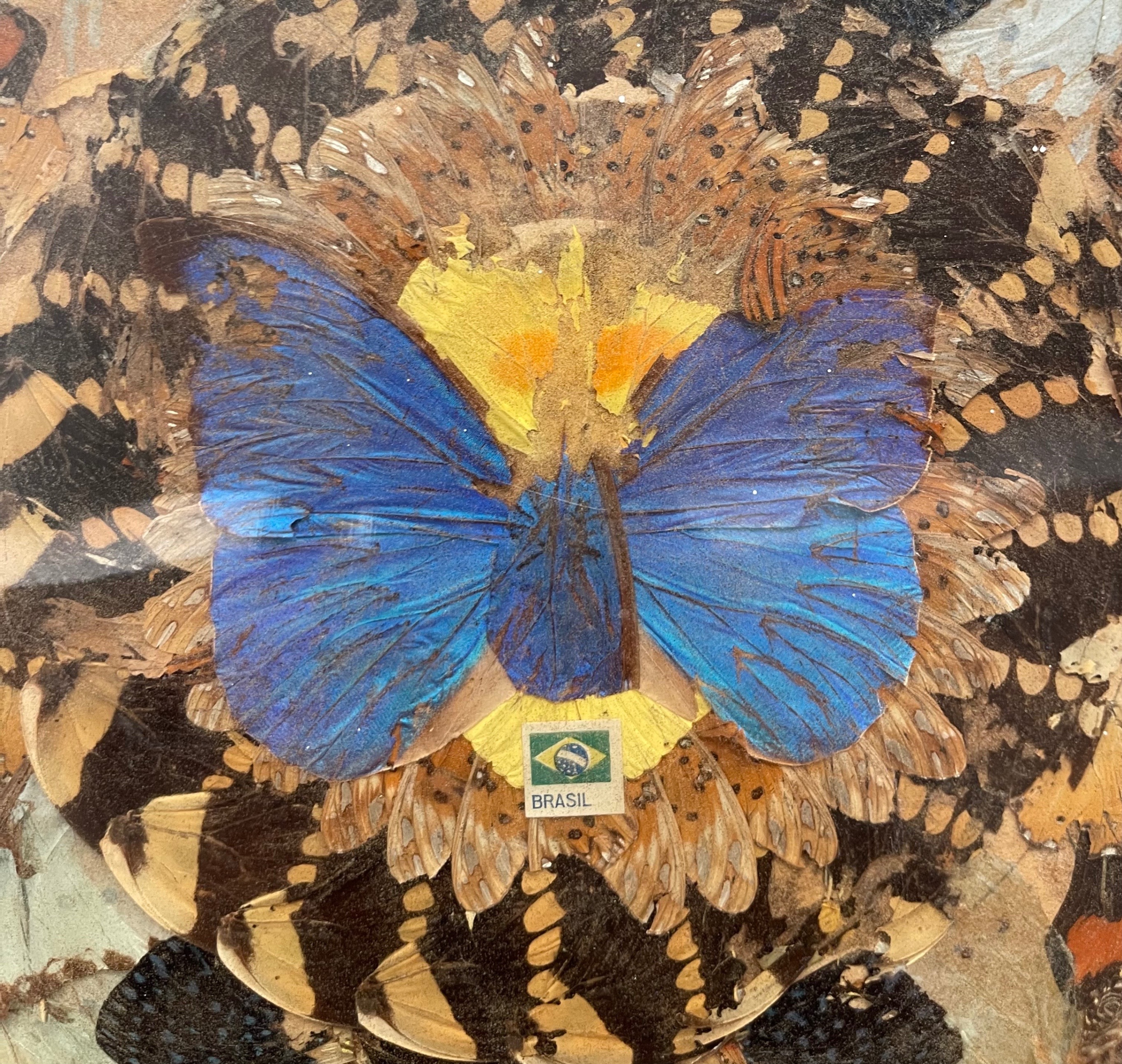 Large 18.5" Vintage Brazil Butterfly Wing Art (Leather Rim) - photo 3