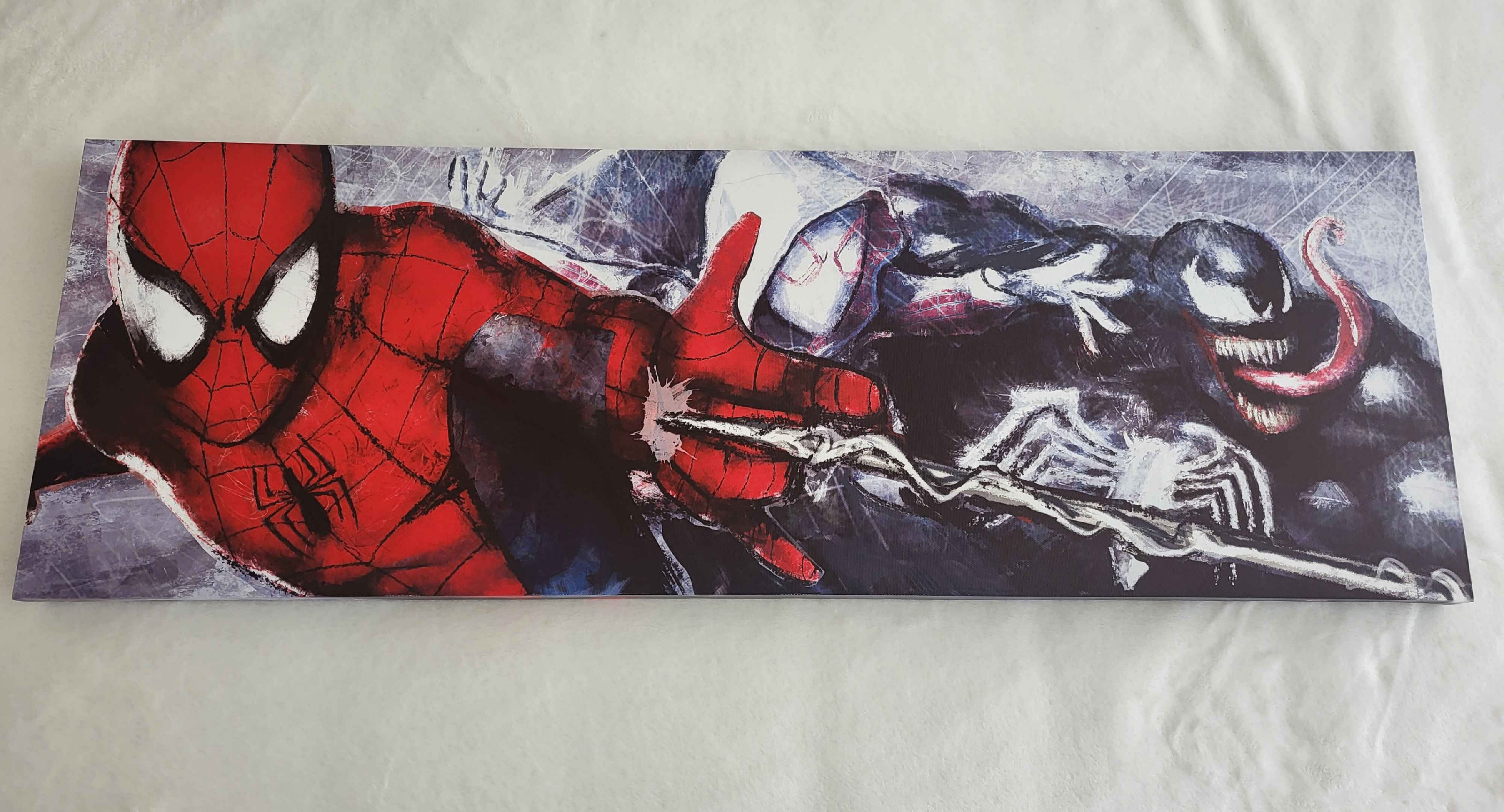 Spider-verse Canvas