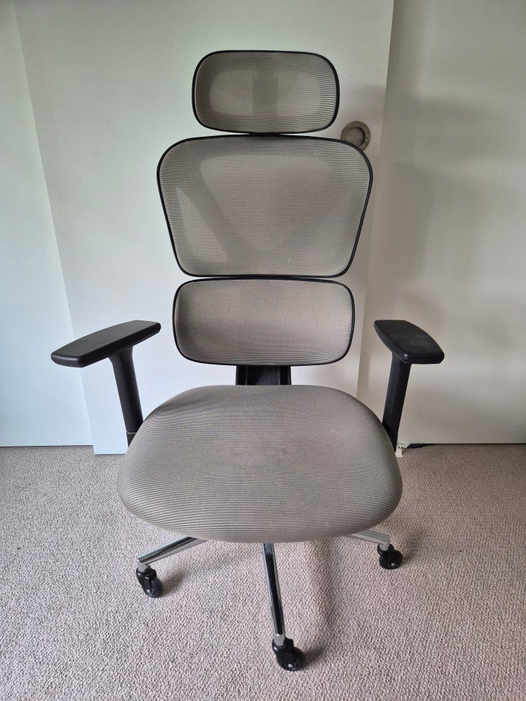 Sytas Ergonomic Mesh Office Chair – Moving Sale