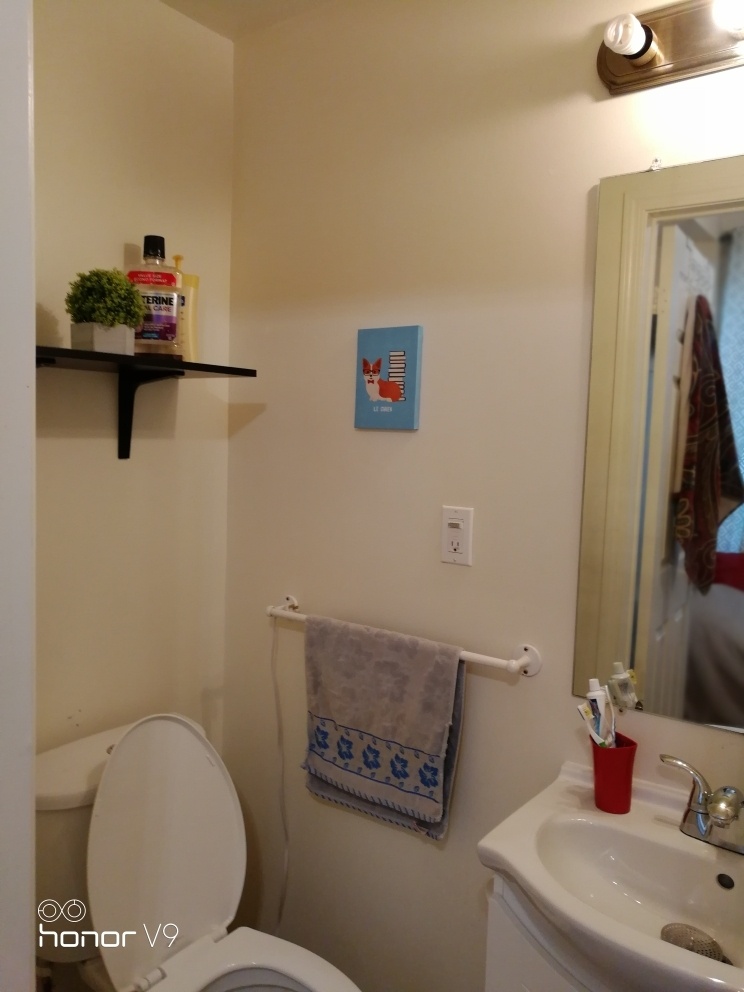 York Uni. 1 room with private washroom - photo 3