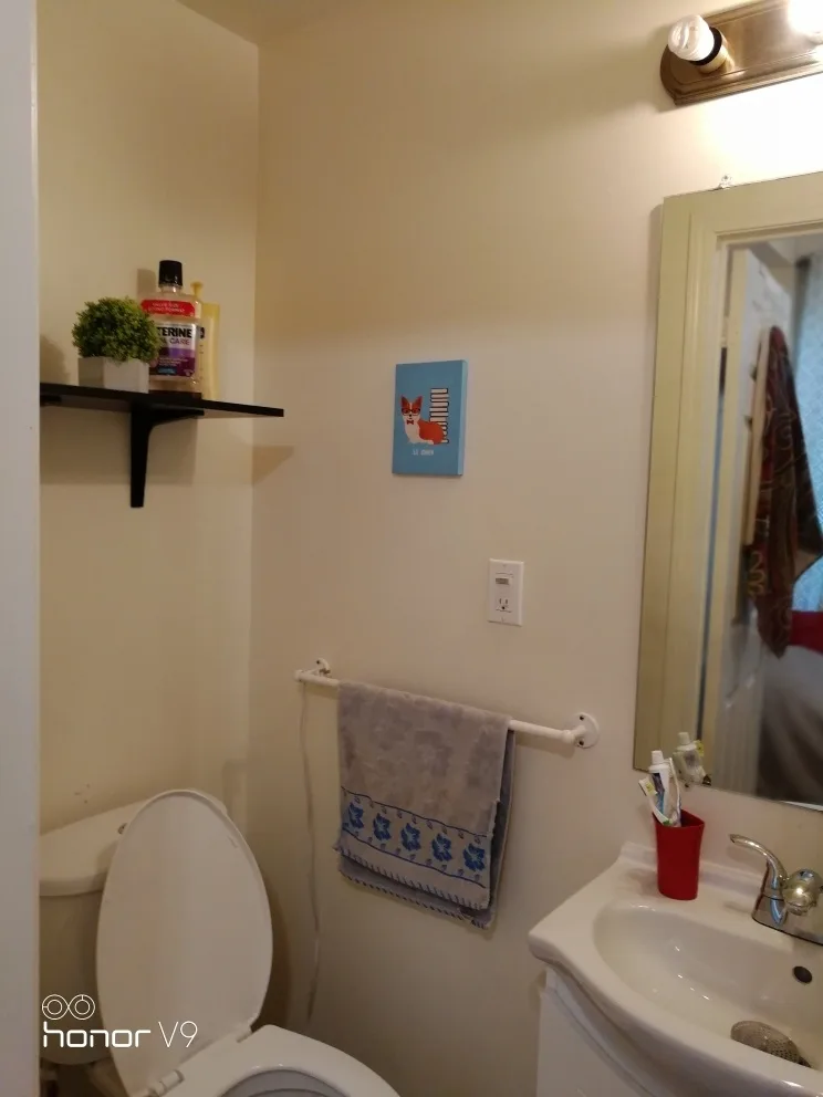 York Uni. 1 room with private washroom - photo 3