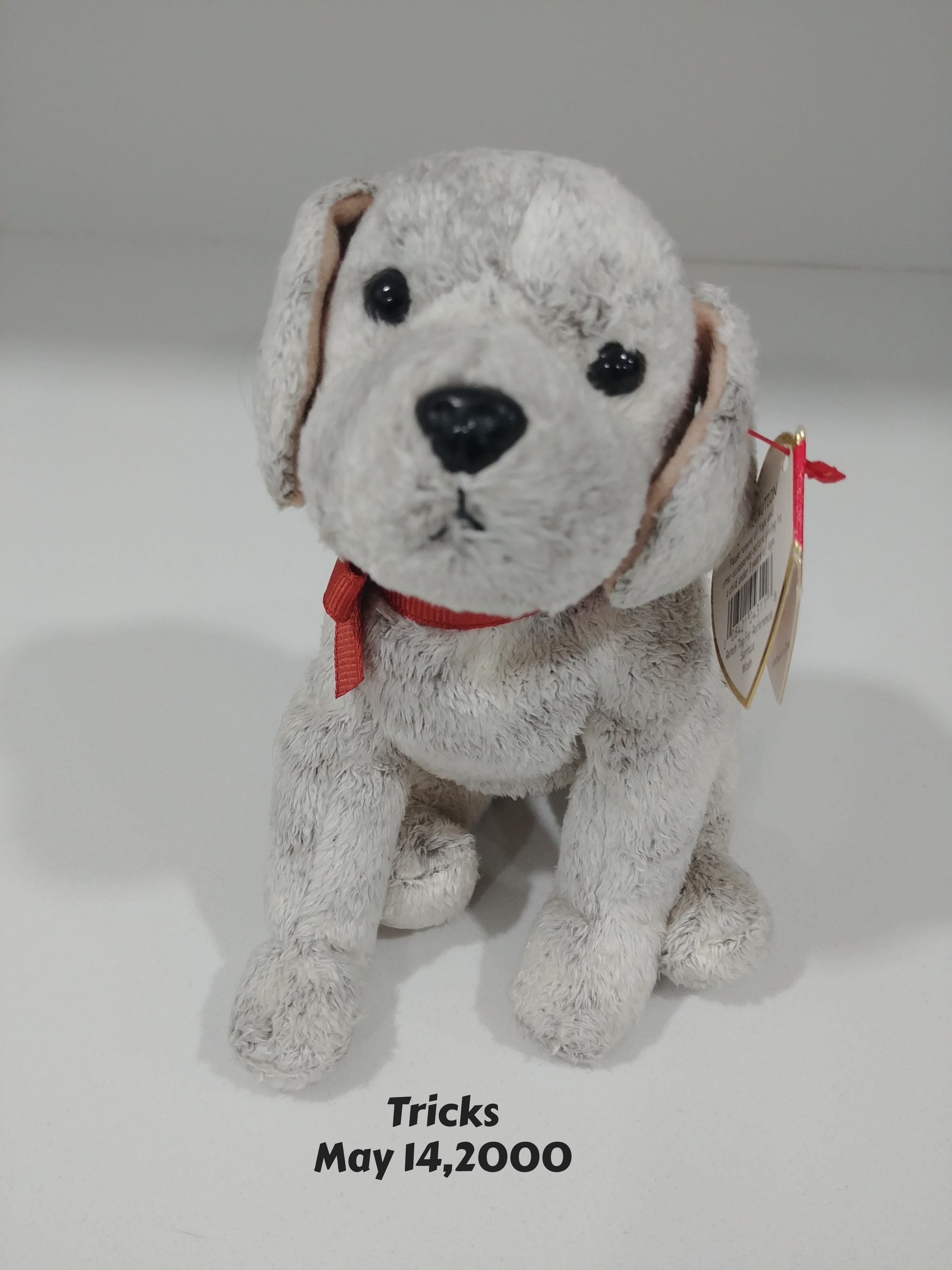 Ty Beany baby Tricks With Tag, Like New