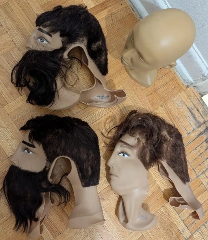 COSMETOLOGY Mannequin Heads. Manikin Head Model for Hats Hairpi