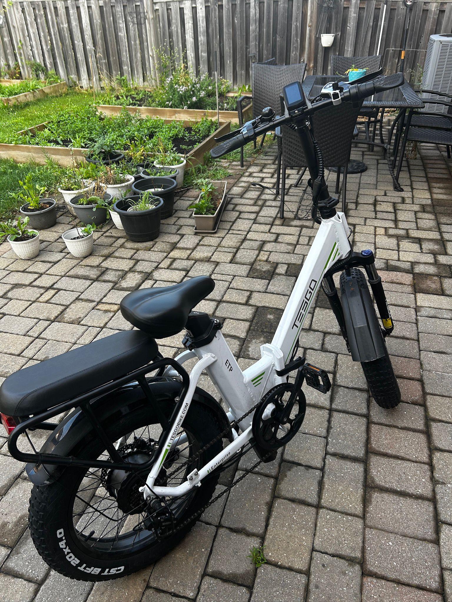 TESGO Folding E-Bike (Moped) - photo 5