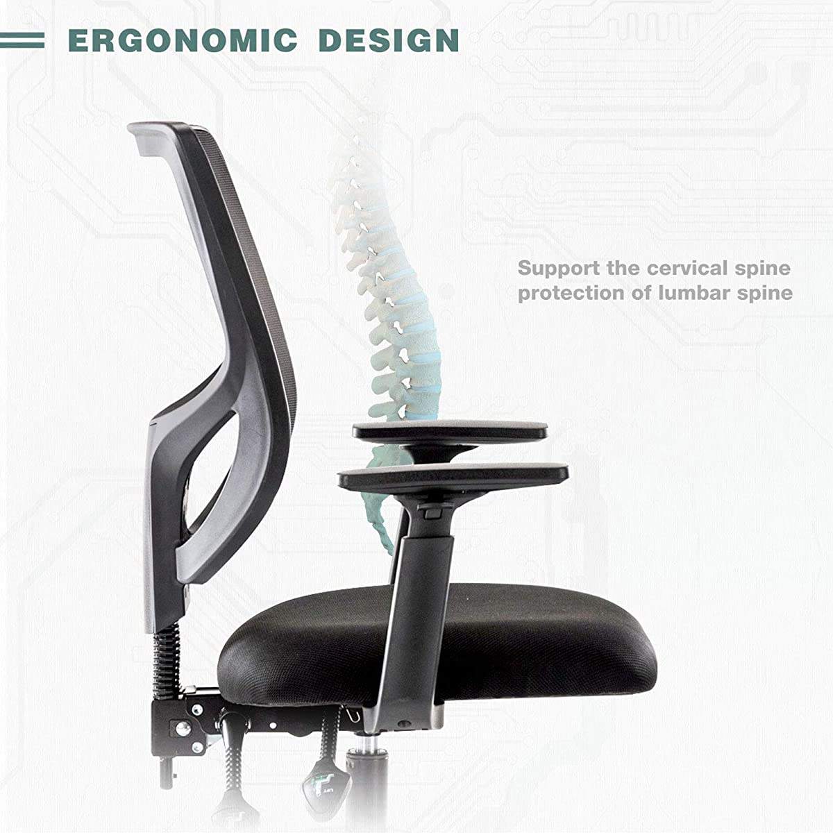 Ergonomic Office Chairs