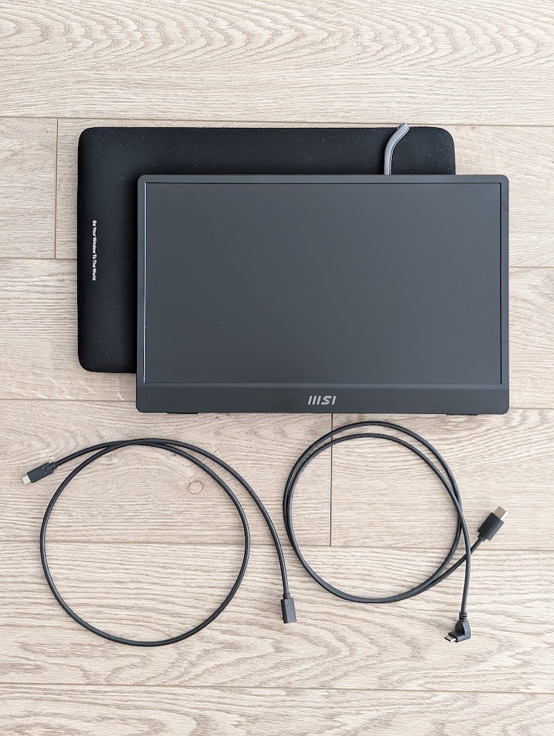 MSI Pro MP161 E2 Portable Monitor