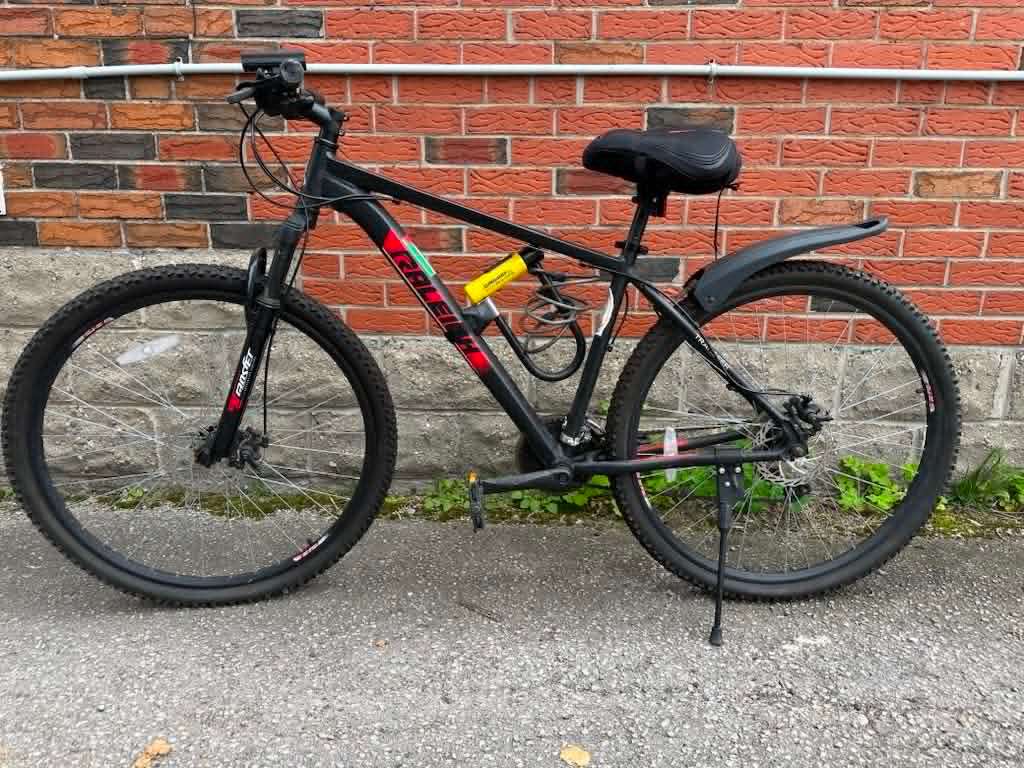 Raleigh Mountain Bike with Kryptonite Lock and Bike Light