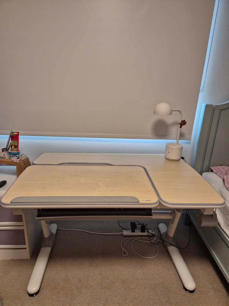 Adjustable Kids Study Desk & Ergonomic Chair Set - photo 5