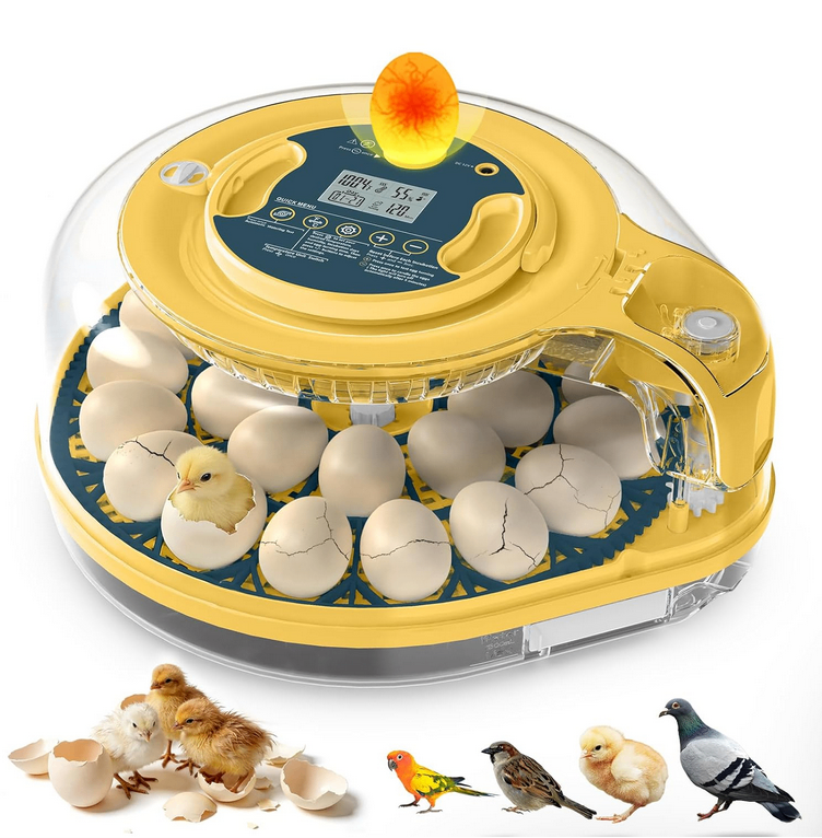 Egg Incubator – Auto Turner, Temp & Humidity Control