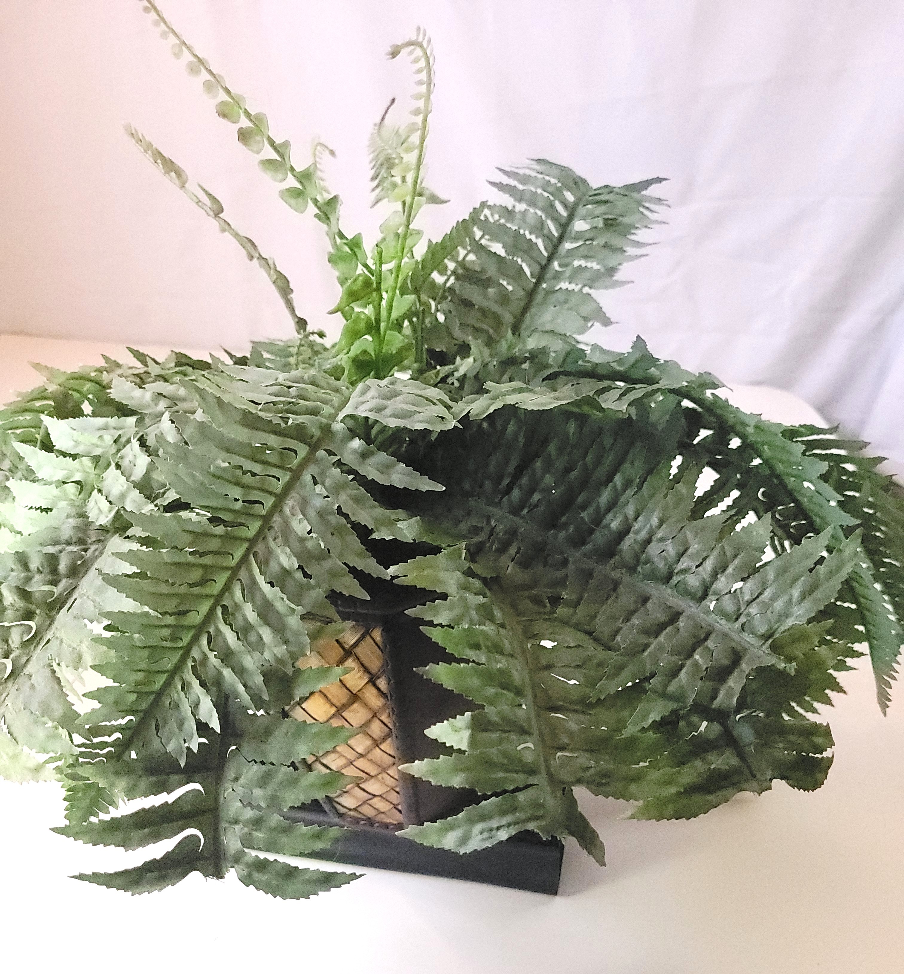 Artificial Boston Fern in Octagonal Woven Wood Pot 1994