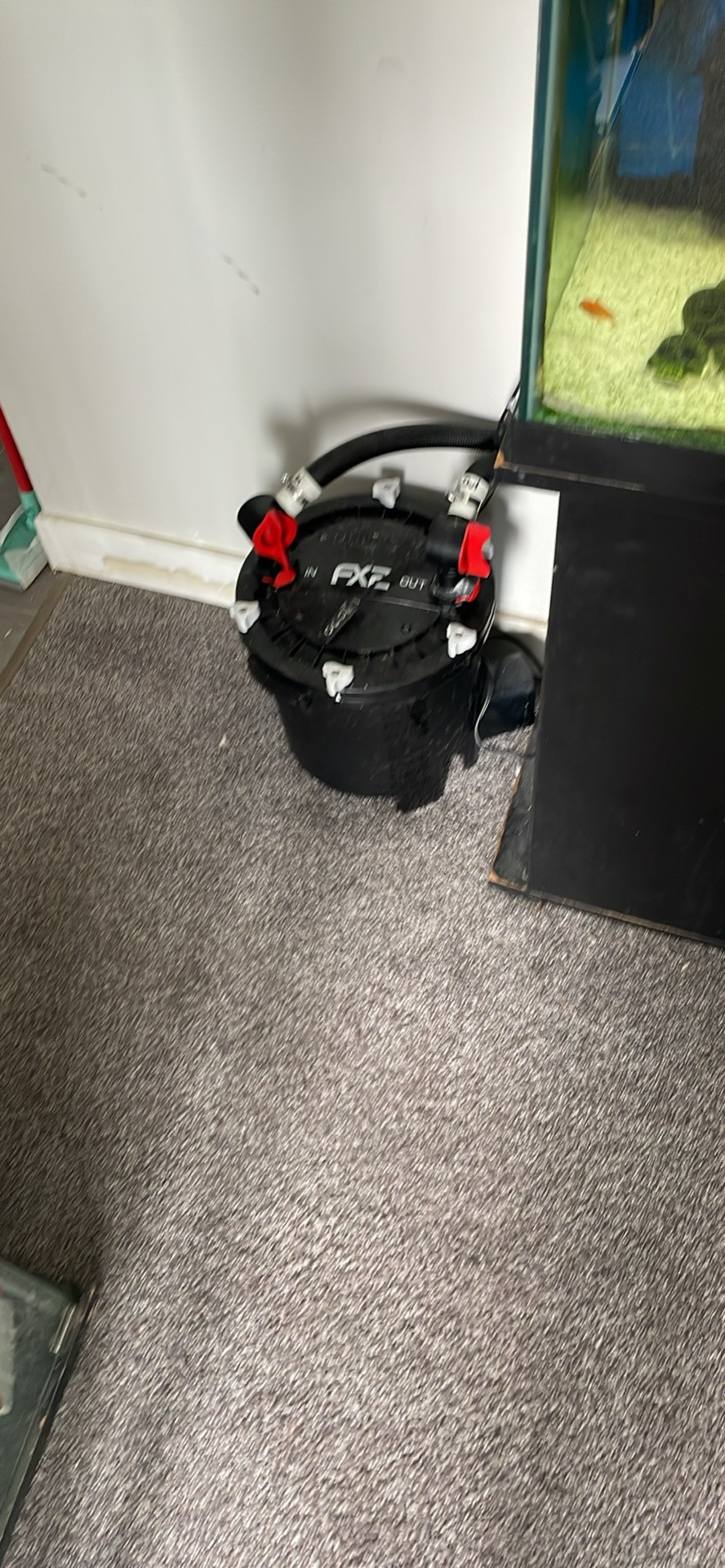 55gal Aquarium & EVERYthing - photo 2