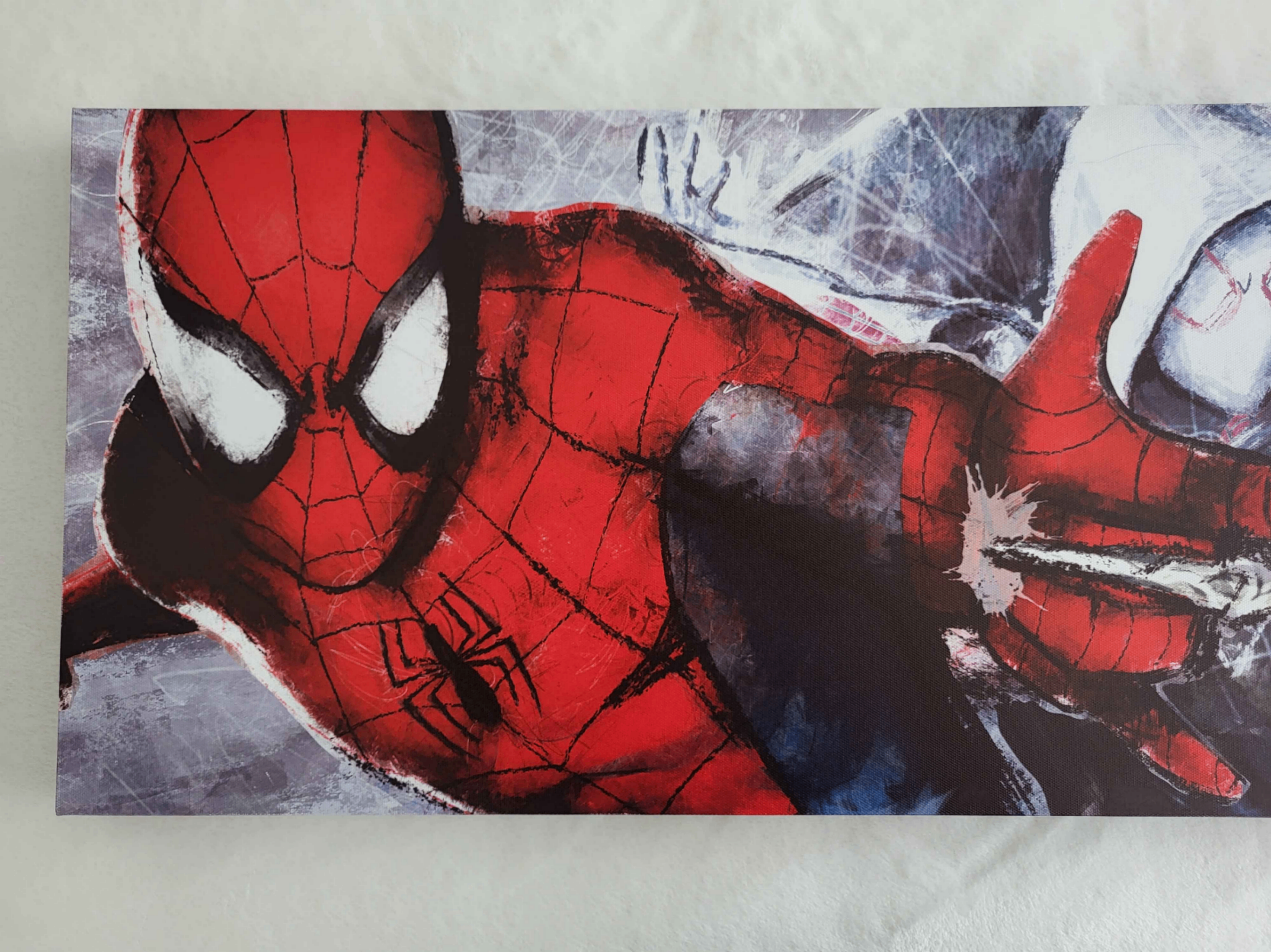 Spider-verse Canvas - photo 2
