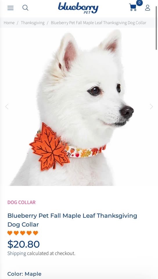 Dog Collar NEW - Blueberry Pet Fall Maple Leaf Thanksgiving - photo 3
