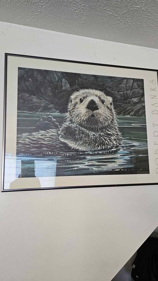 Robert Banks Sea Otter Print