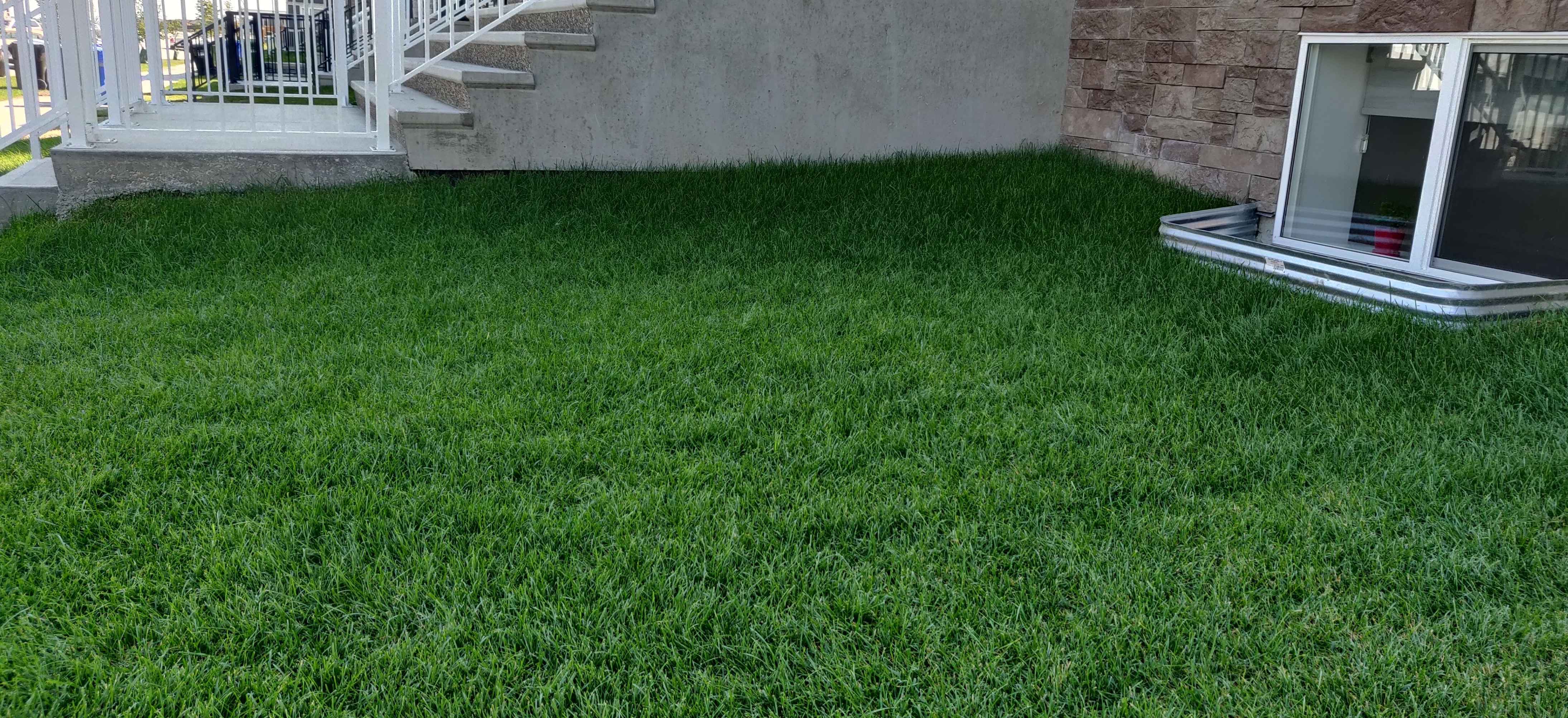 Lawn Mowing
