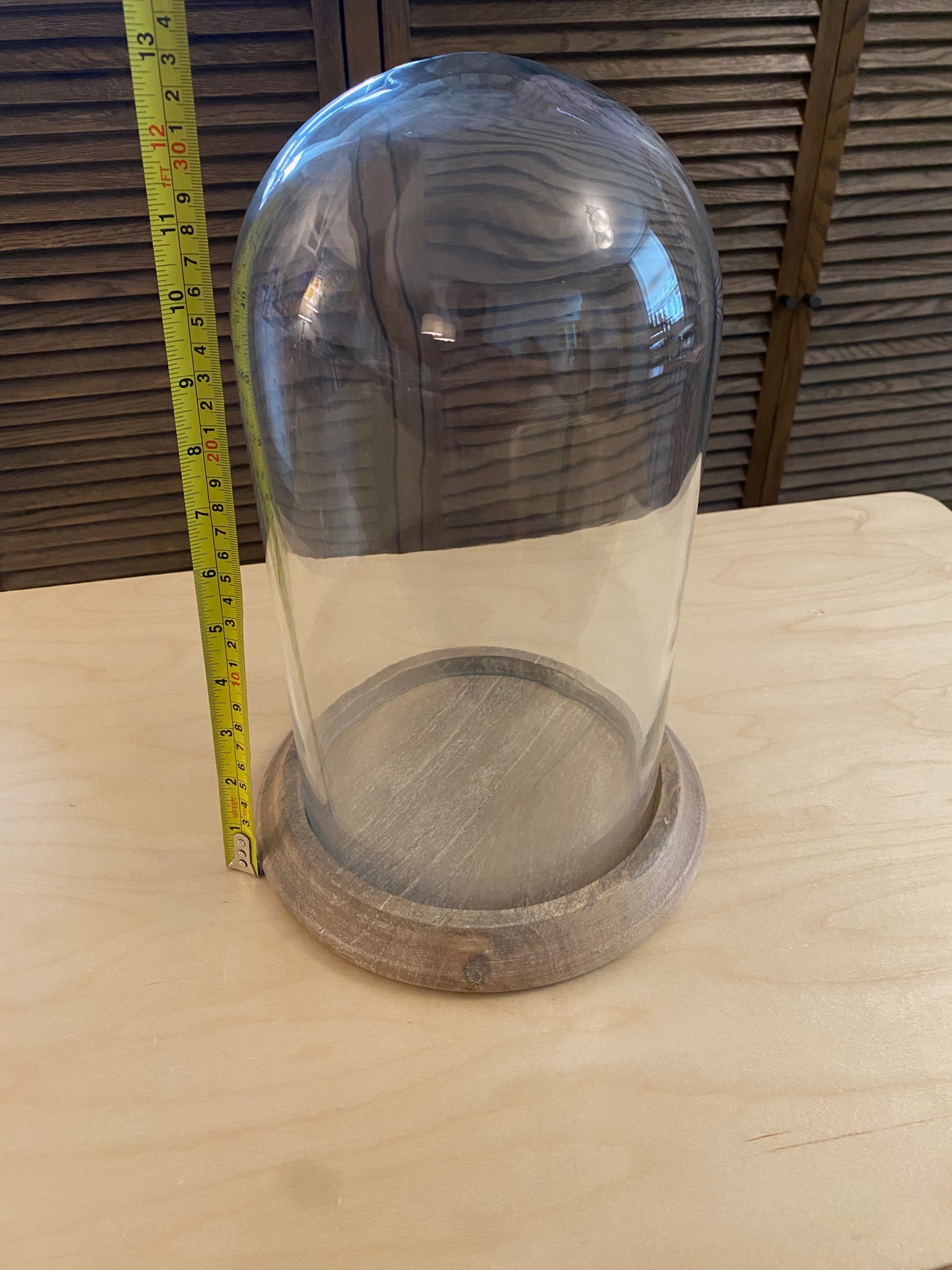Pottery Barn Seadrift Glass Cloche – Coastal Decor - photo 3