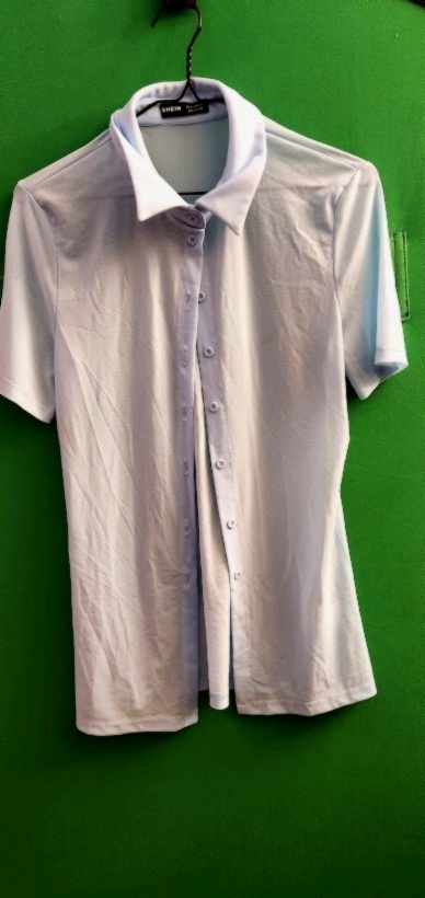 Light Blue Shein Button-Up Blouse
