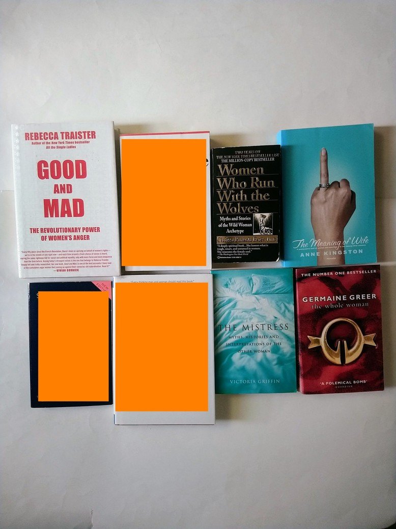 Feminist & Women's Issues books!!