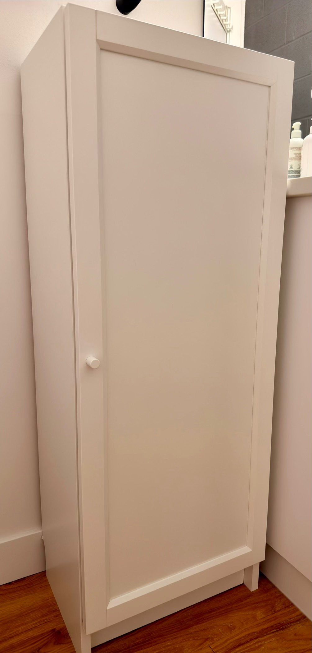 Small cabinet with door