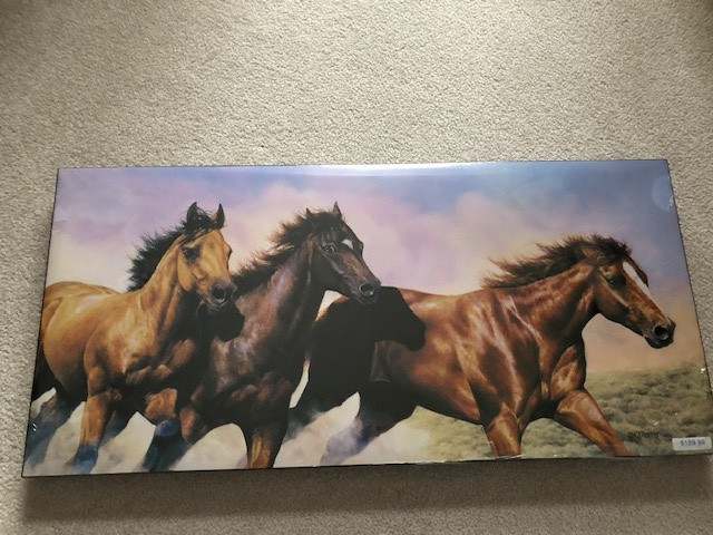 Wild Run for Horse Lovers