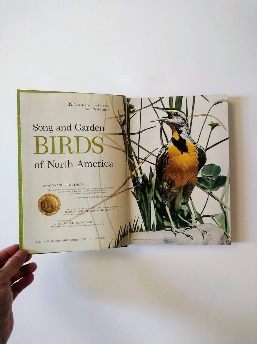 Song and Garden Birds of North America - Alexander Wetmore - photo 4