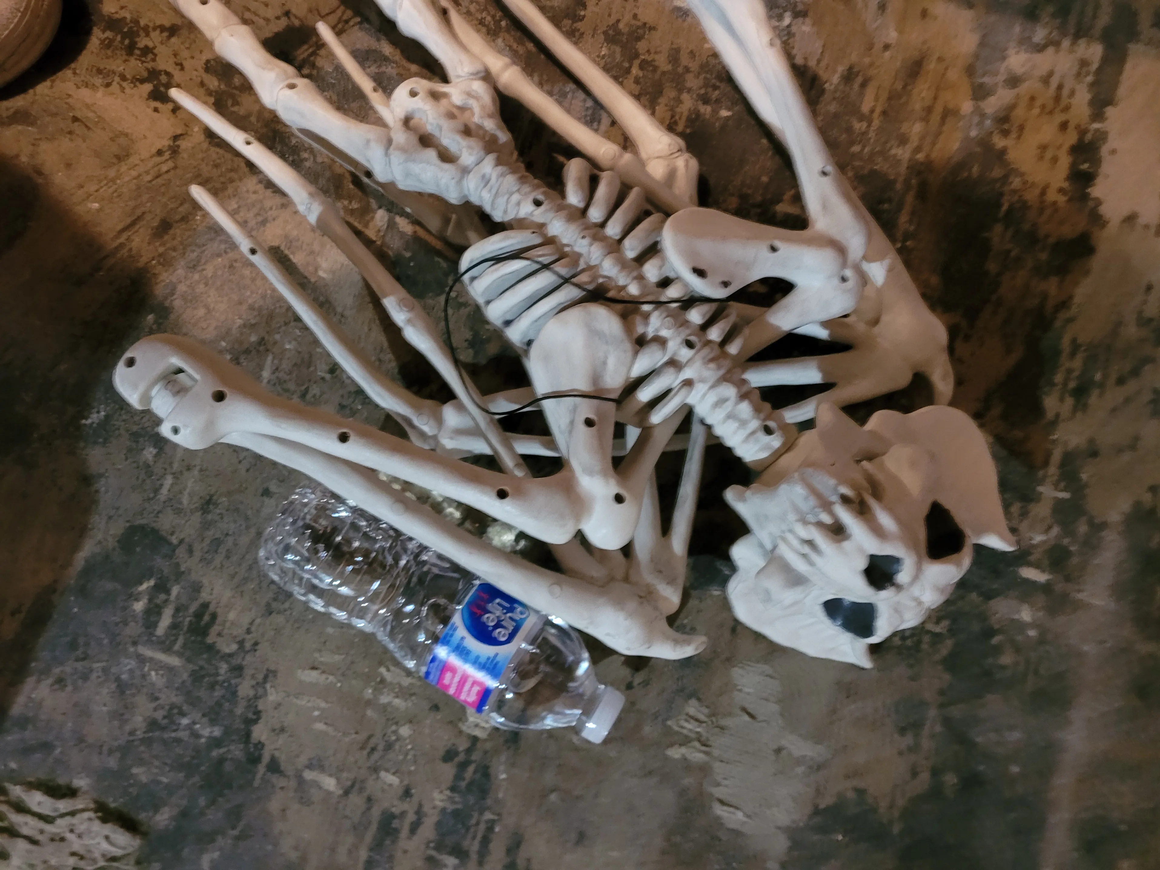 Halloween Decor Hanging Bat Skeleton - photo 3