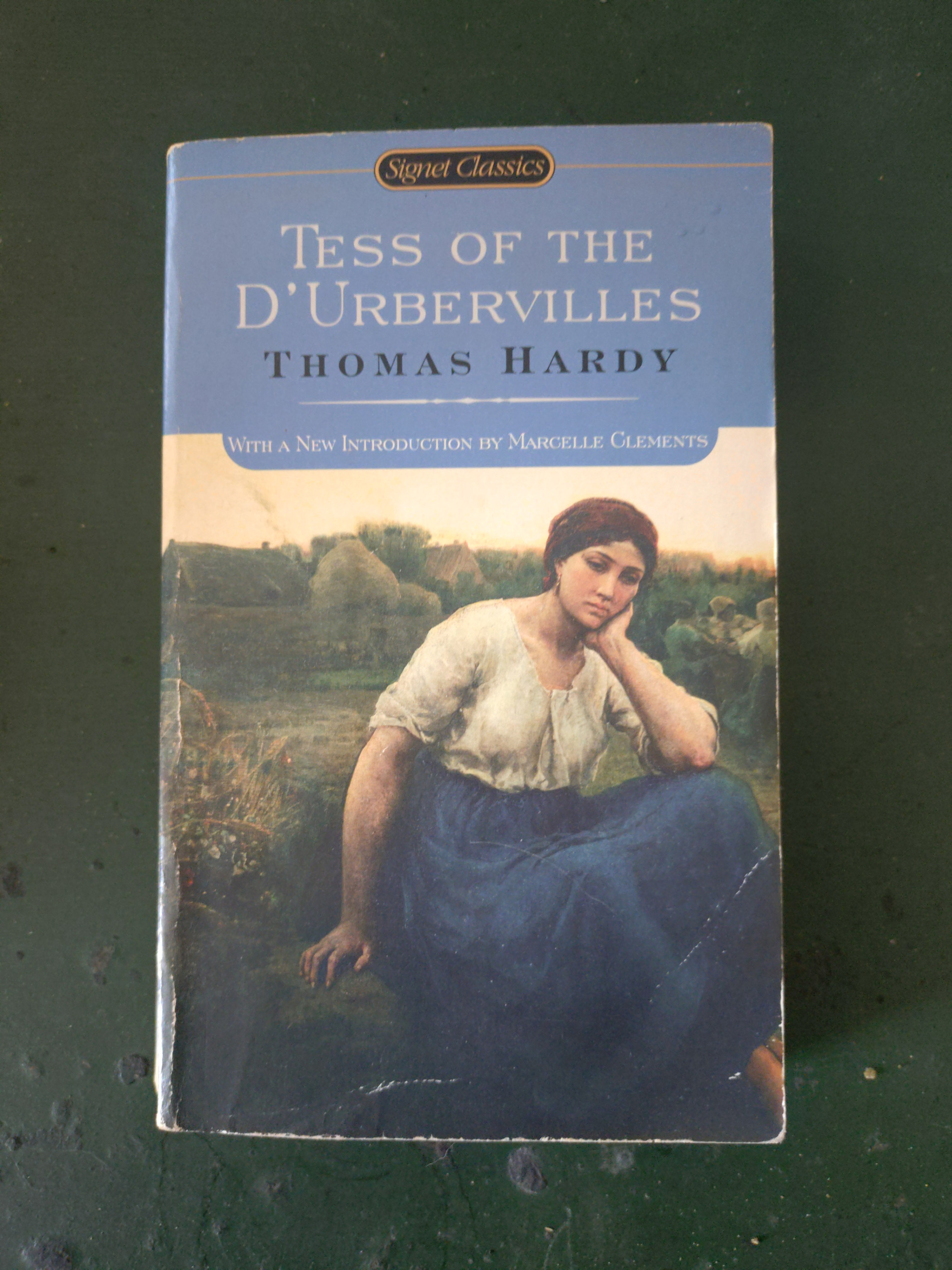 Thomas Hardy Classic Novel Set (3 Books)