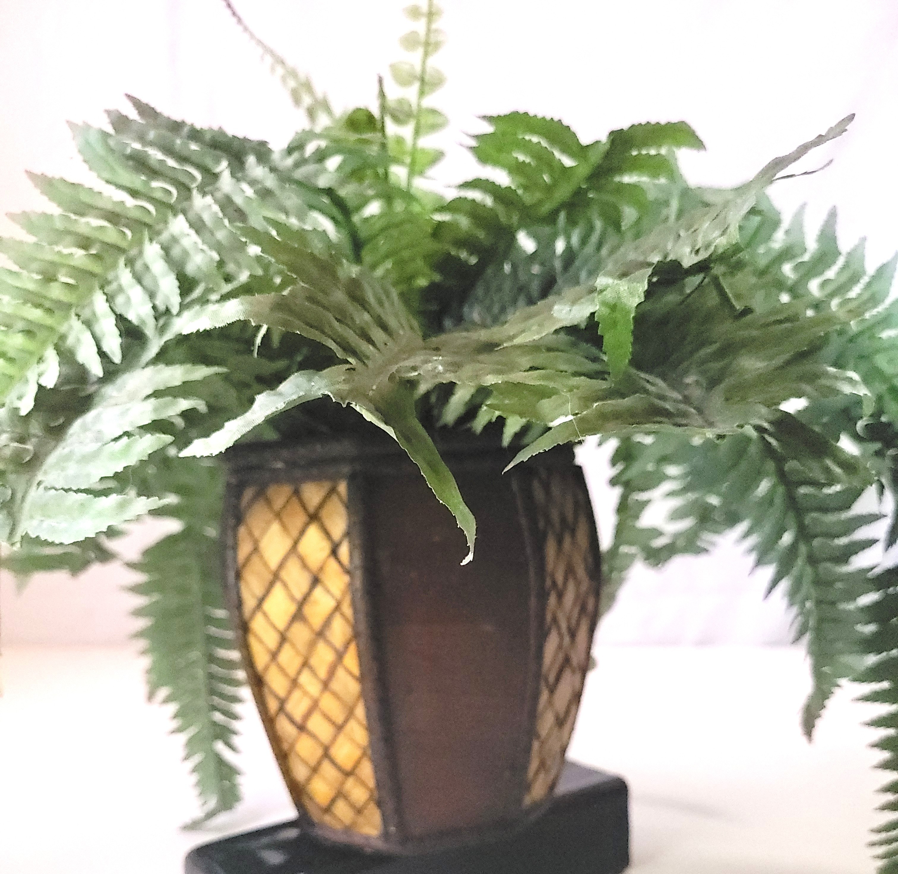 Artificial Boston Fern in Octagonal Woven Wood Pot 1994 - photo 5