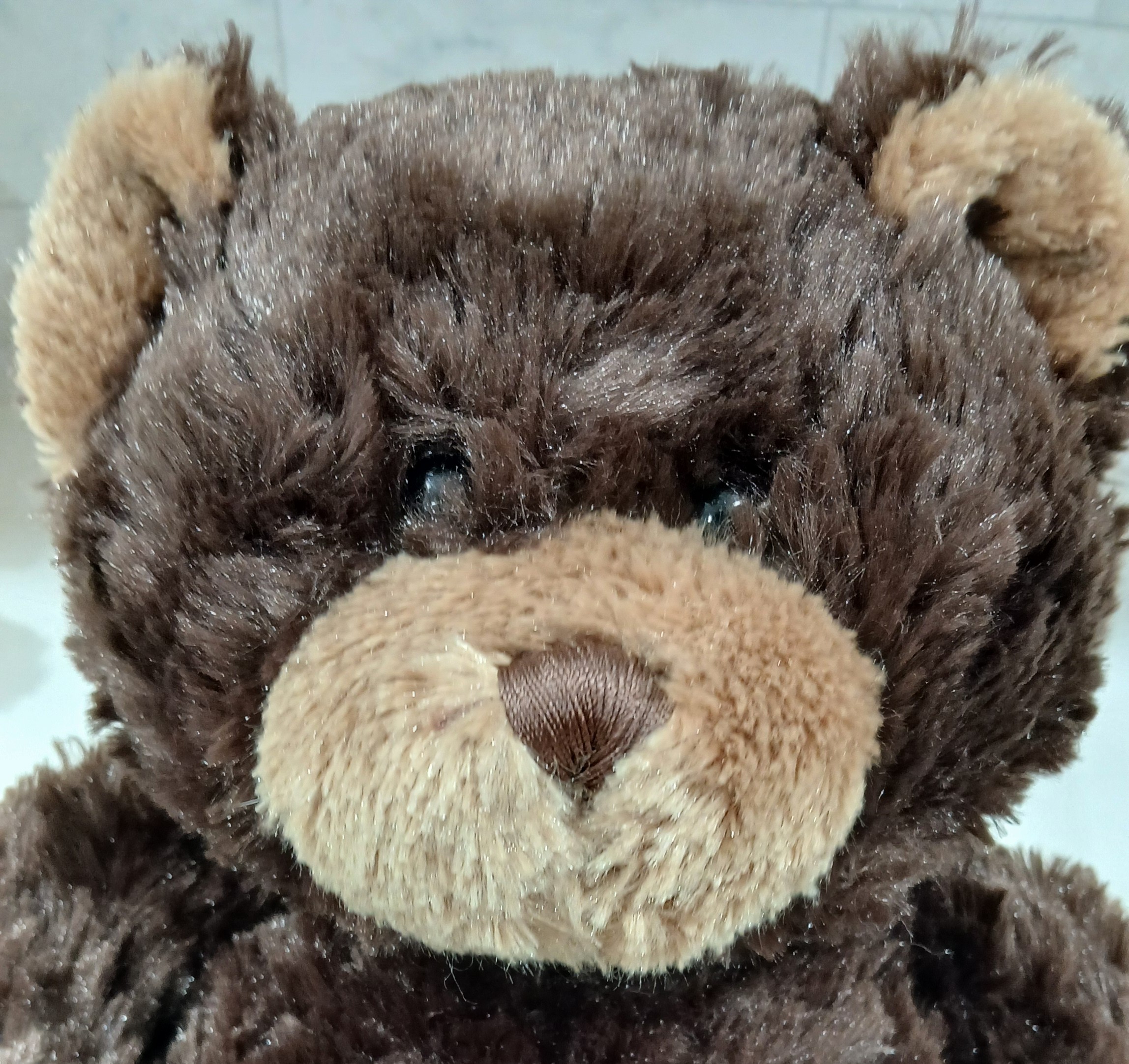 Ganz Bears 14 in. Soft & Clean, Not Used Just Display, - photo 5