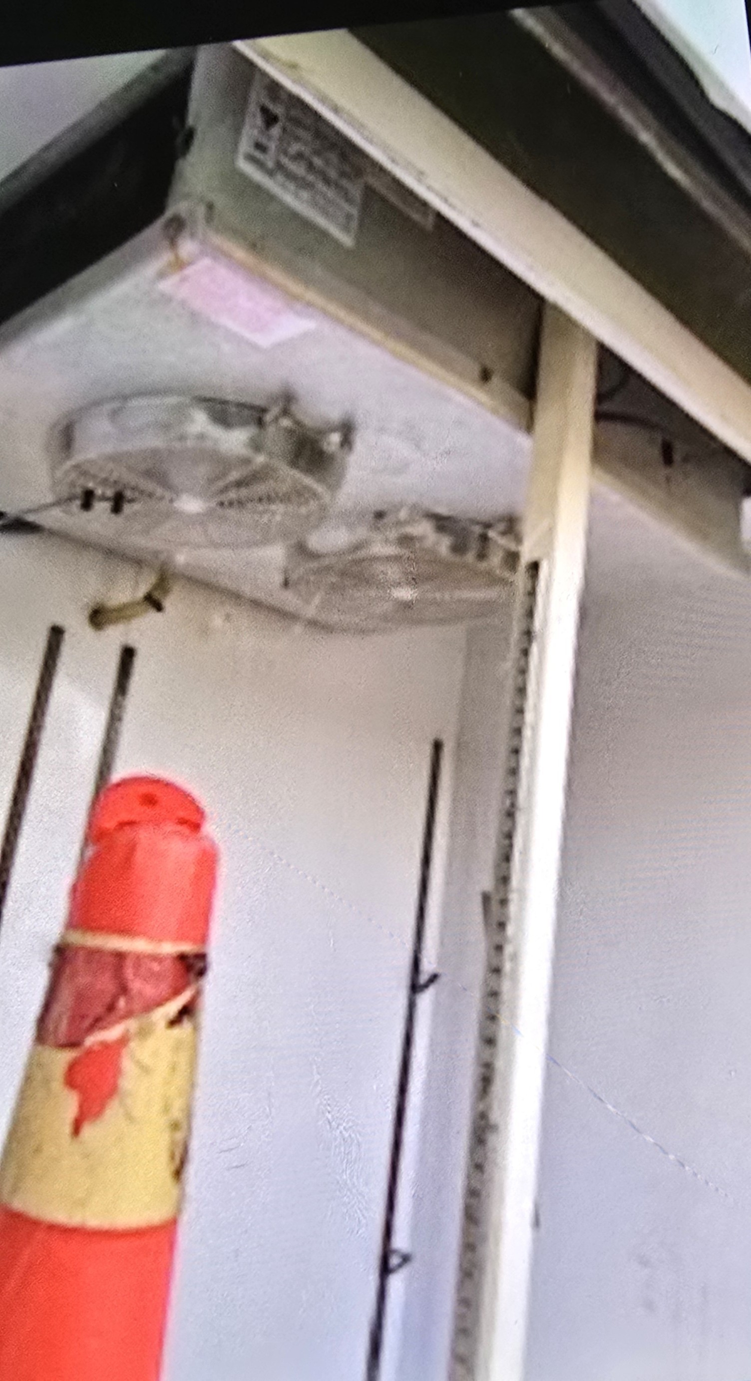 2 Door Commercial Cooler - photo 4