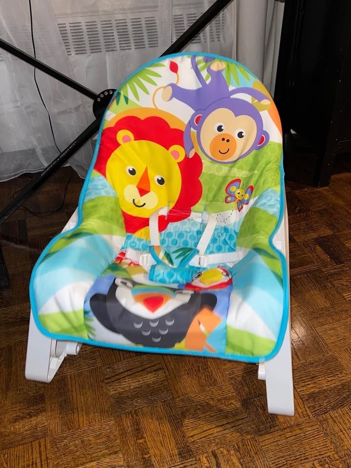 Fisher Price Baby Rocker - photo 4