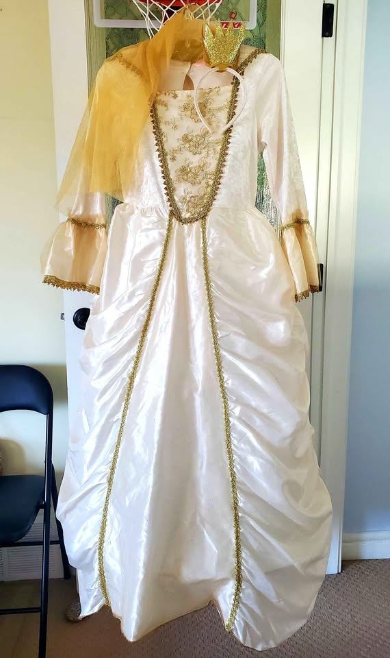 Children's Princess Costume (NEED GONE)