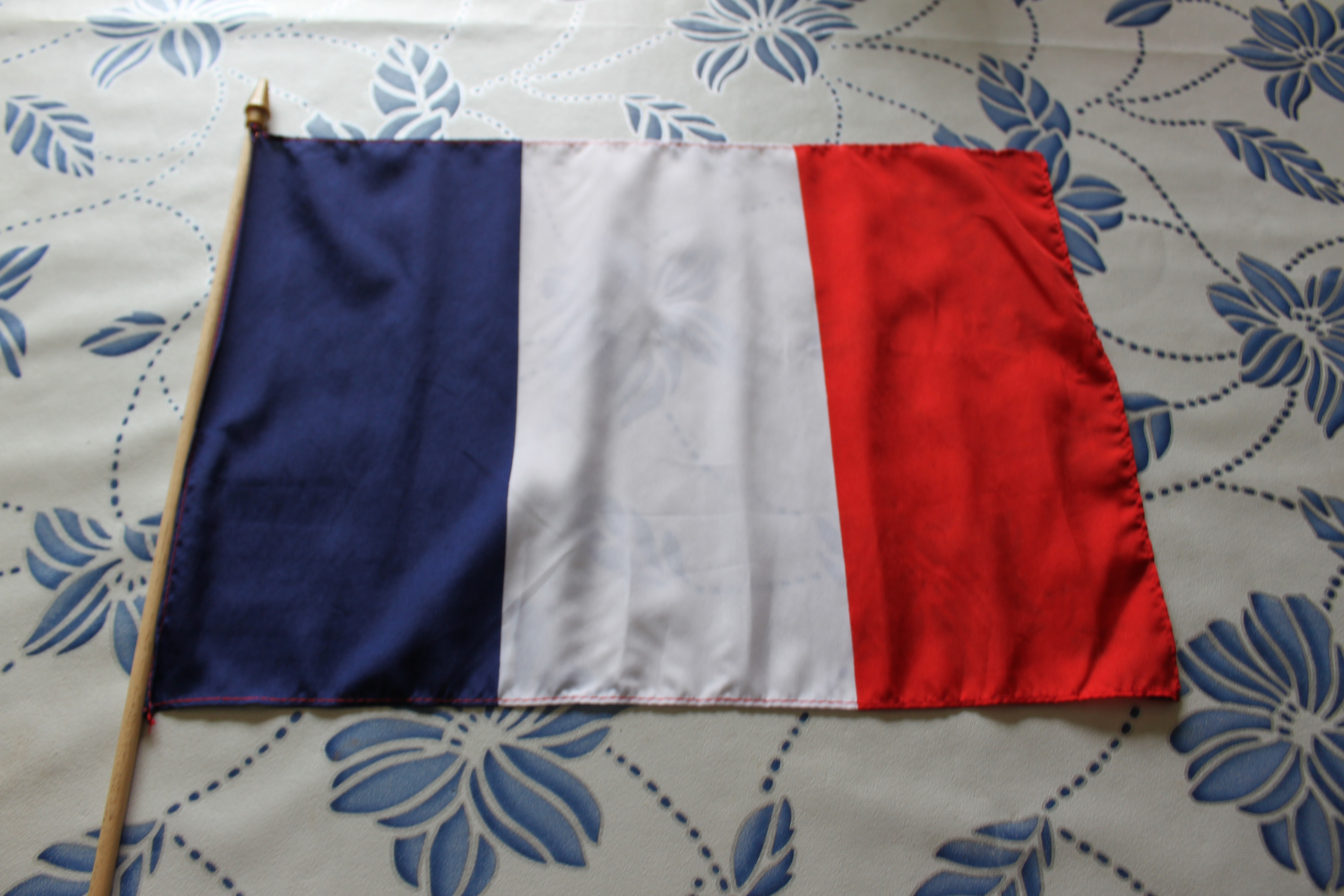 France Flag With Waving Stick