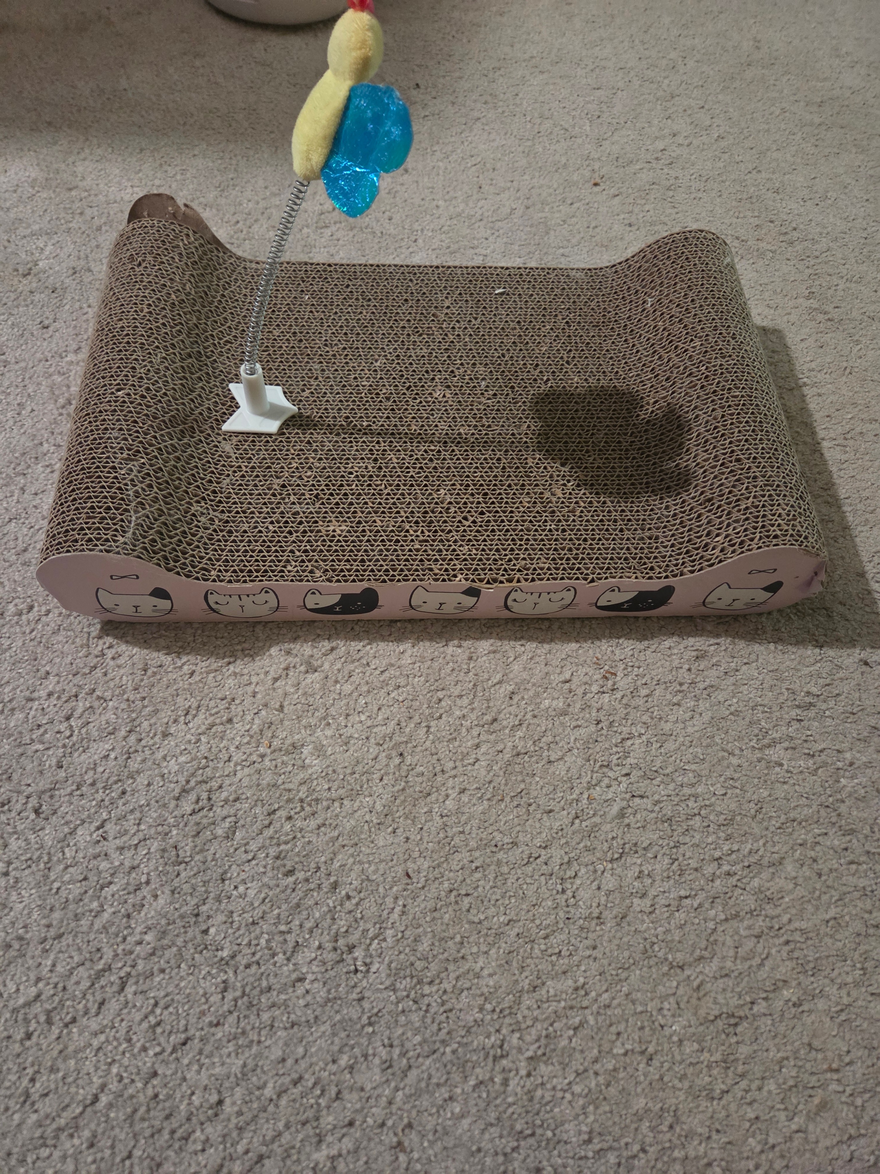 2-in-1 Cat Scratcher Lounge Pad with Spring Butterfly Toy (VGC)