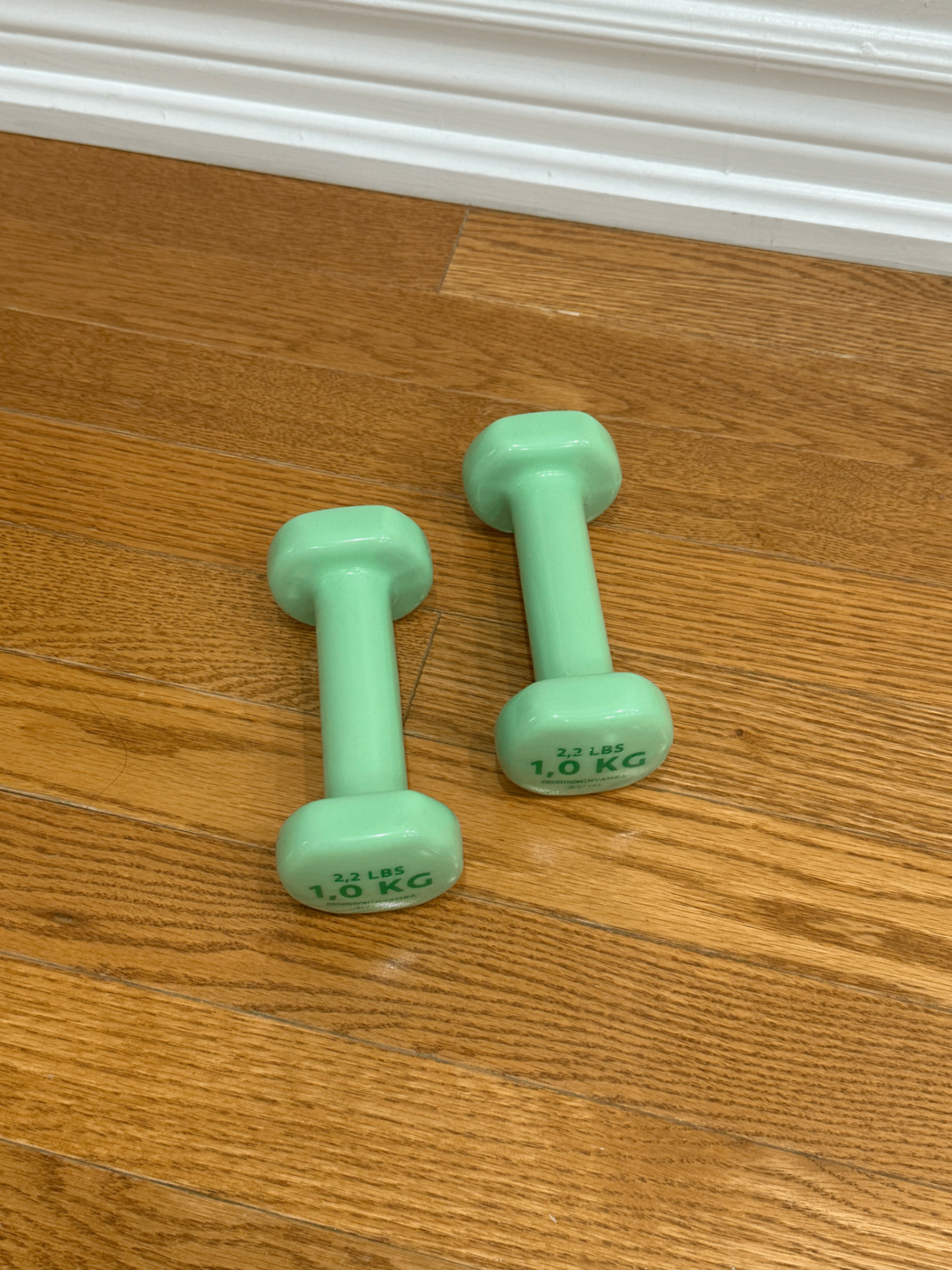 Dumbbells Twin-Pack, 1 kg (2.2 lb)