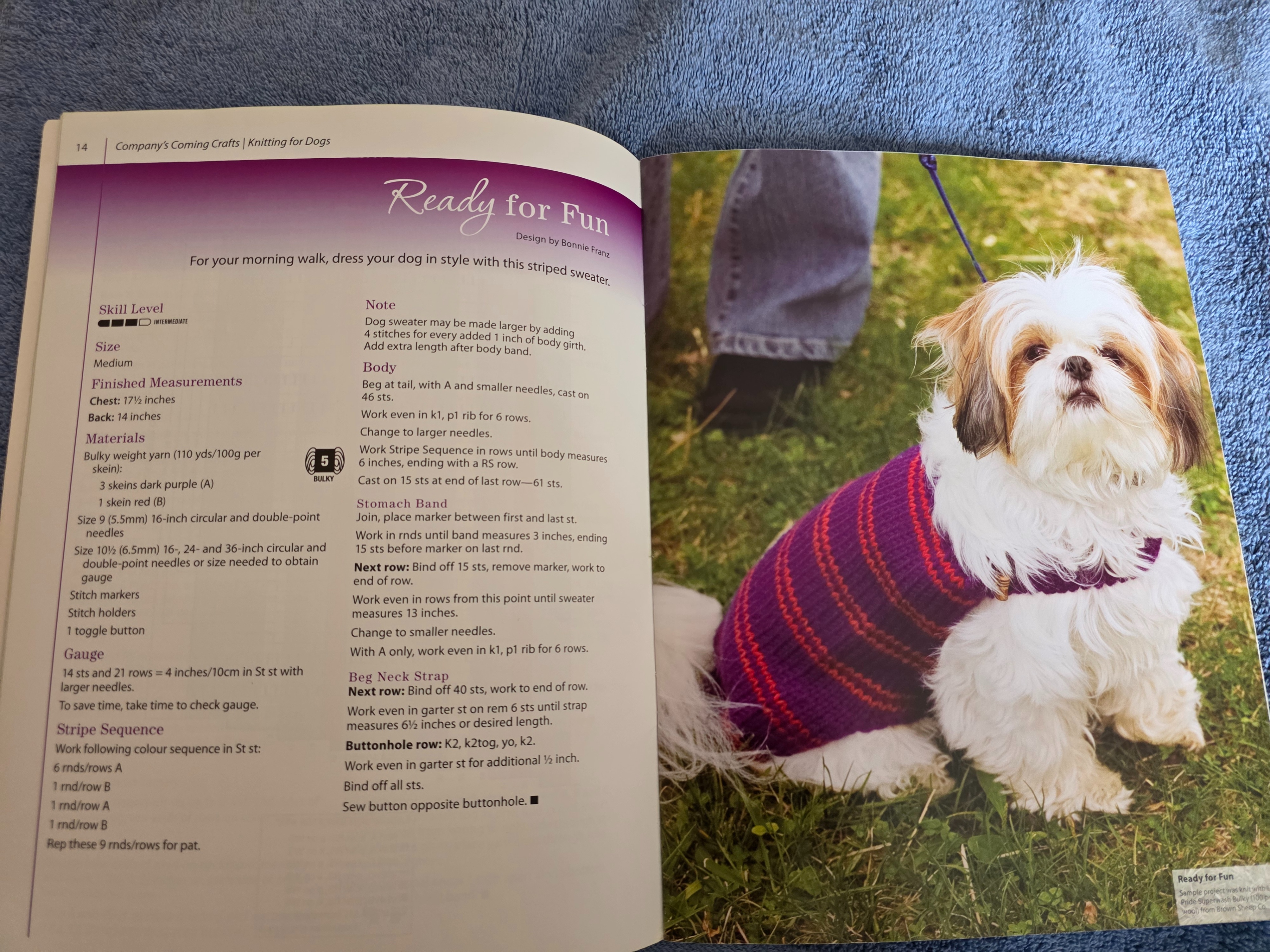 Knitting for Dogs: Company's Coming Patterns Book - photo 3