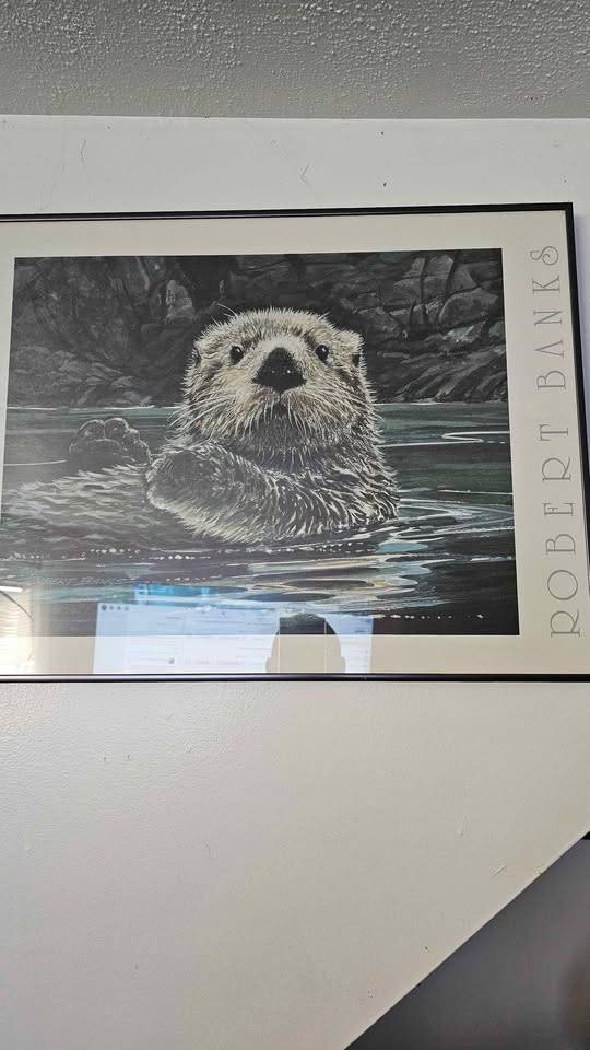 Robert Banks Sea Otter Print - photo 2