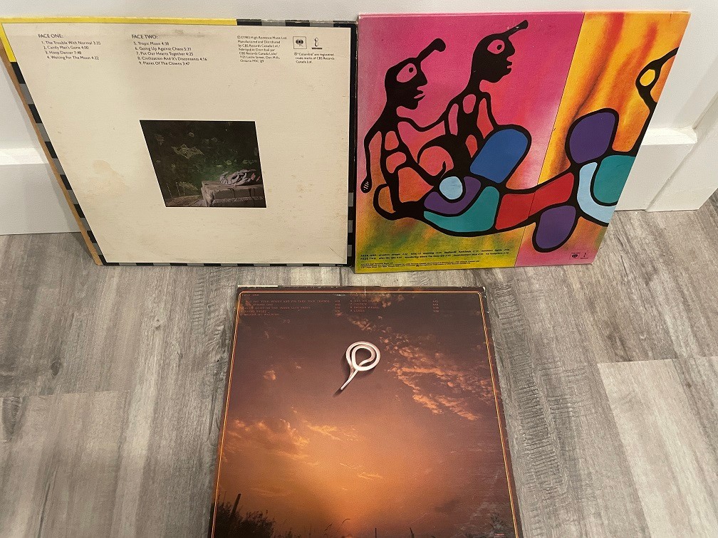 Bruck Cockburn Vtg Vinyl LPs - Lot of 3 - photo 2