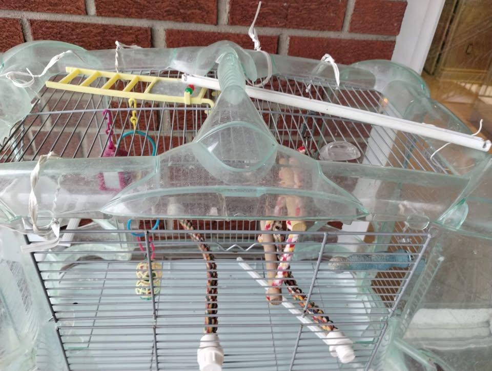 Hagen Vision Bird Cage w/Stand & Lots of Accessories - photo 5