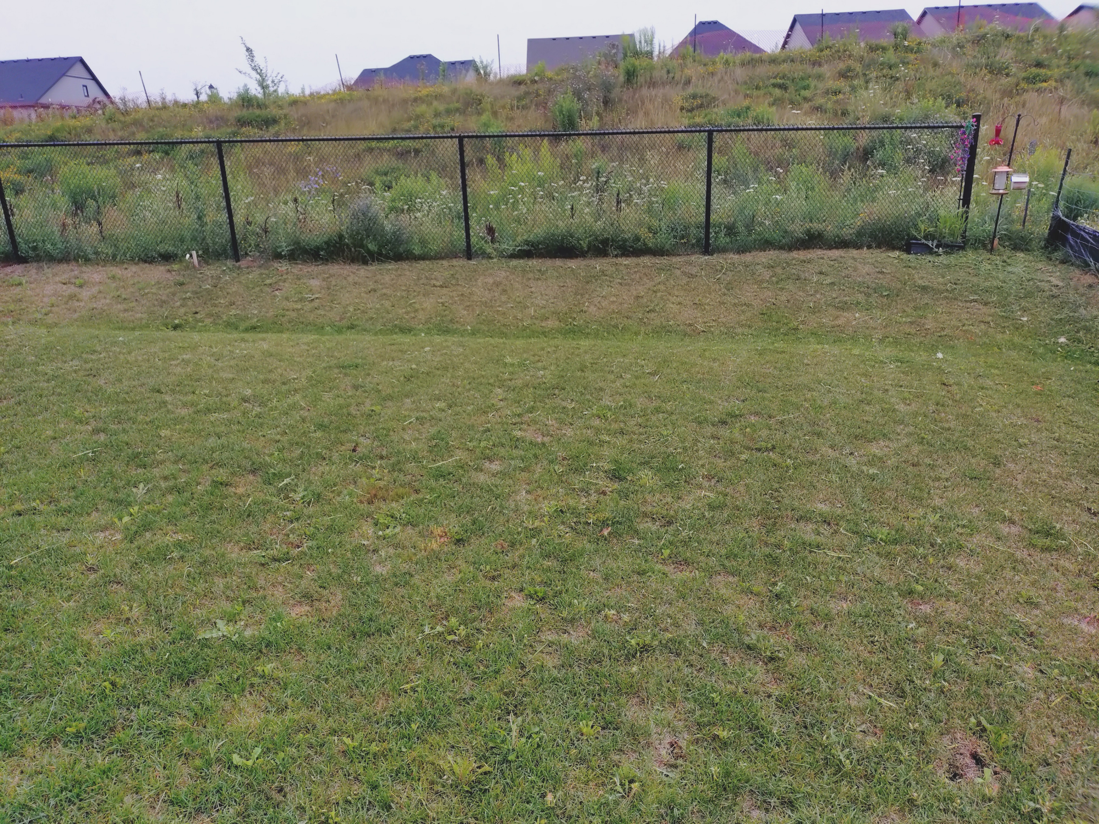 Affordable Lawn Care – Kitchener, Waterloo, Cambridge & Guelph - photo 3