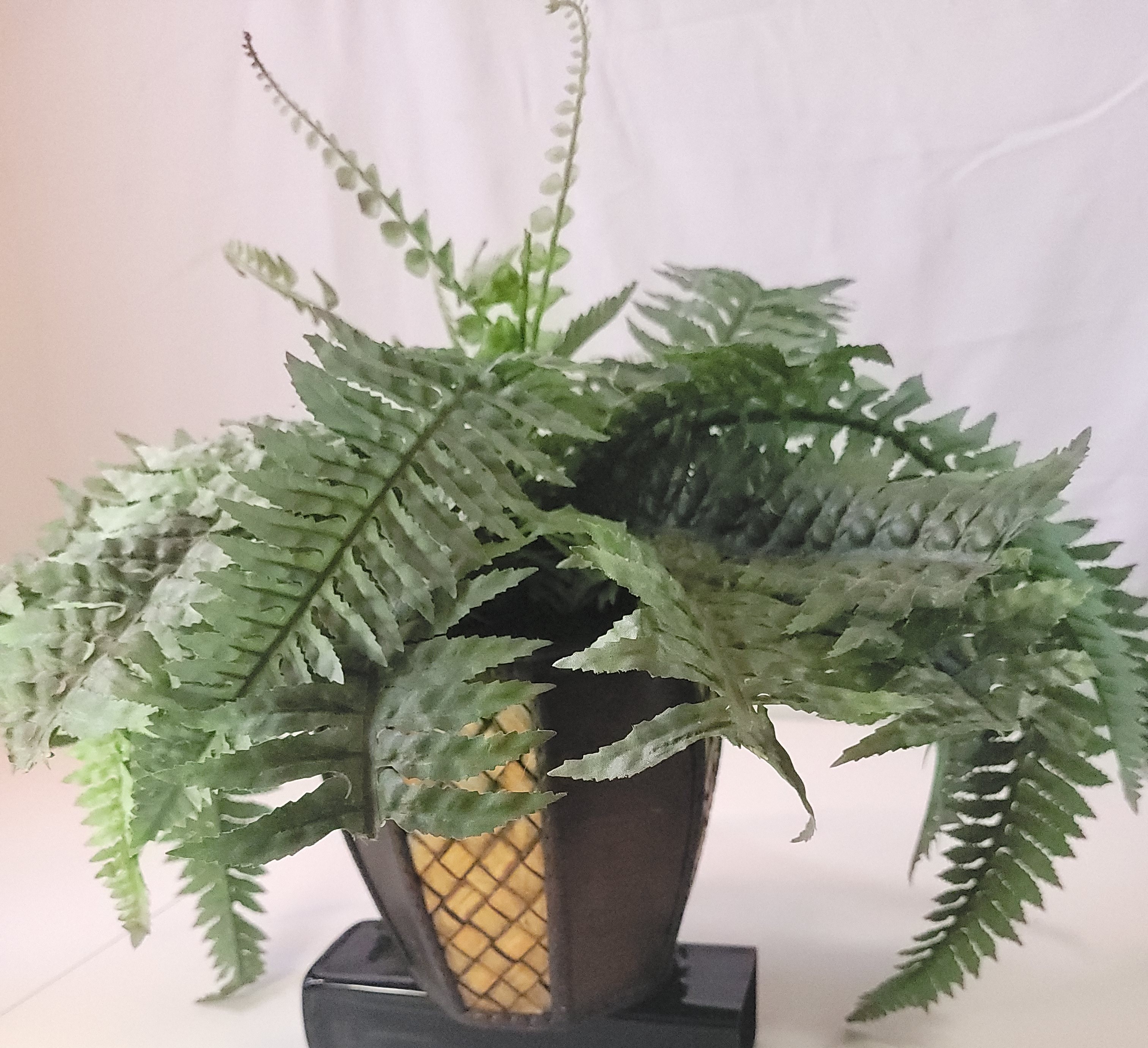 Artificial Boston Fern in Octagonal Woven Wood Pot 1994 - photo 3