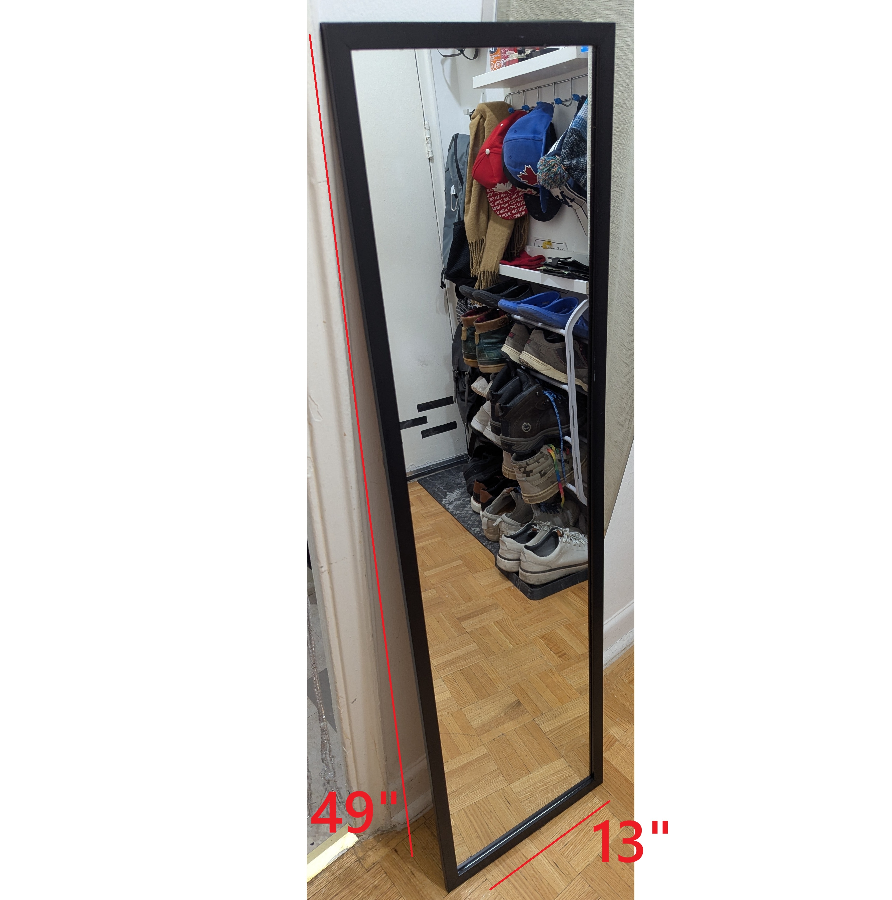 PRICE FIRM! 50x14" Mirror Full-length on wall \ door mirror