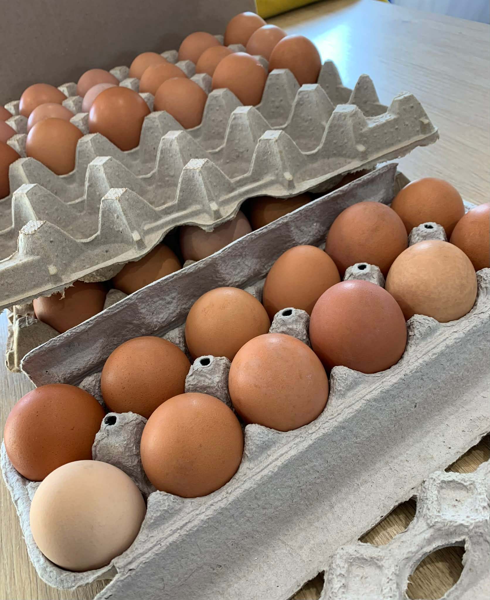 Brown eggs from free-range chickens. - photo 3