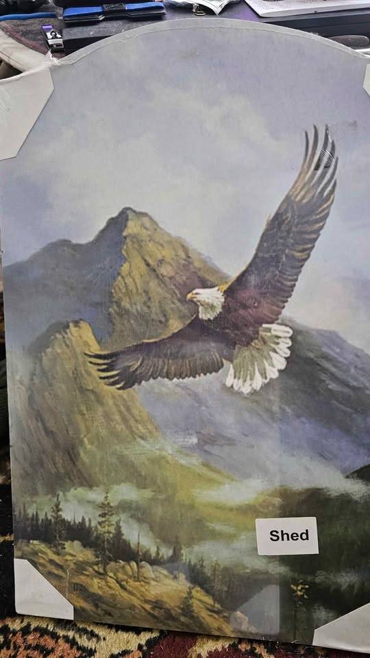 Framed Eagle Art Print