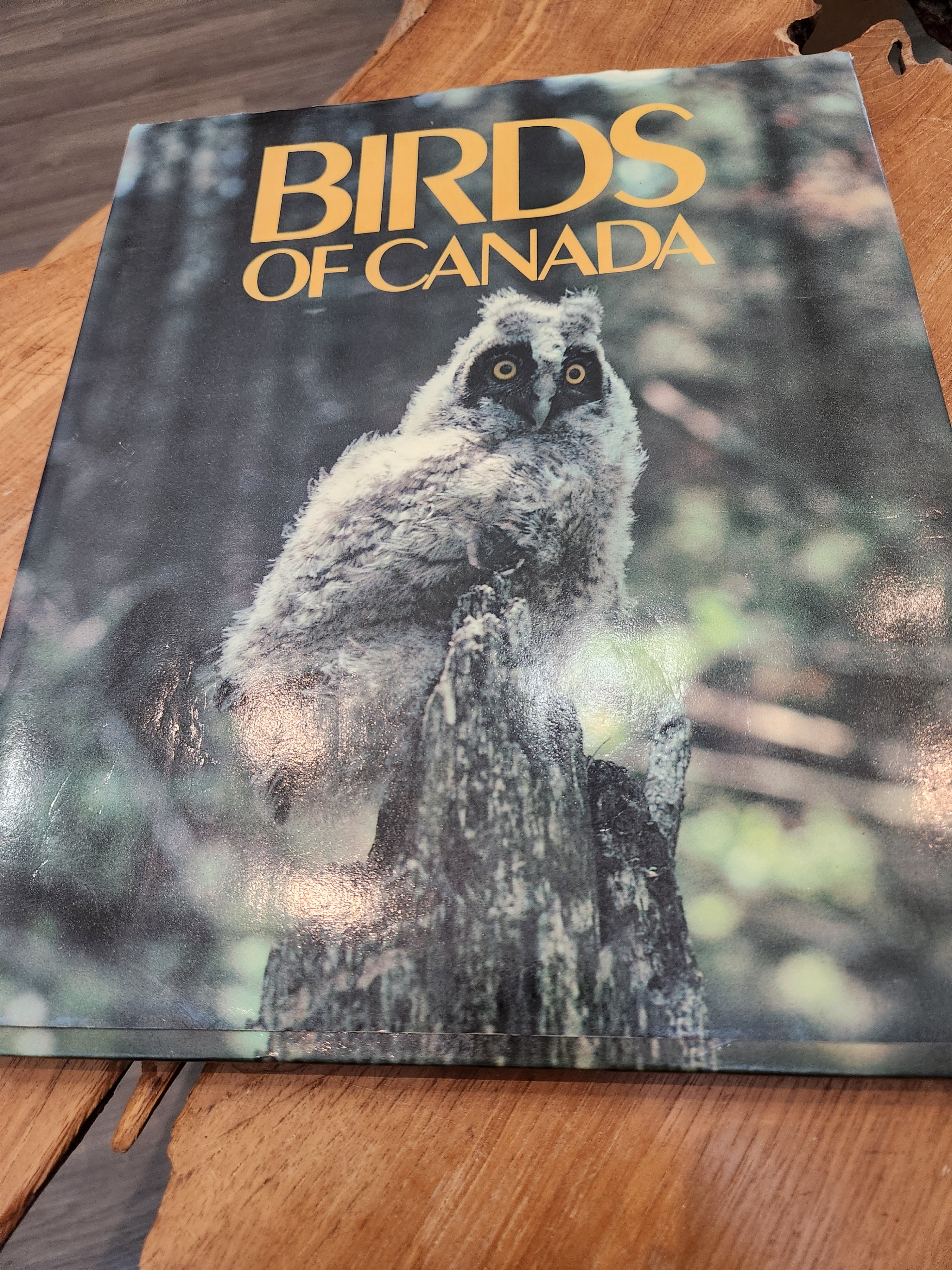 First Edition "Birds of Canada" Vintage Coffee Table Book