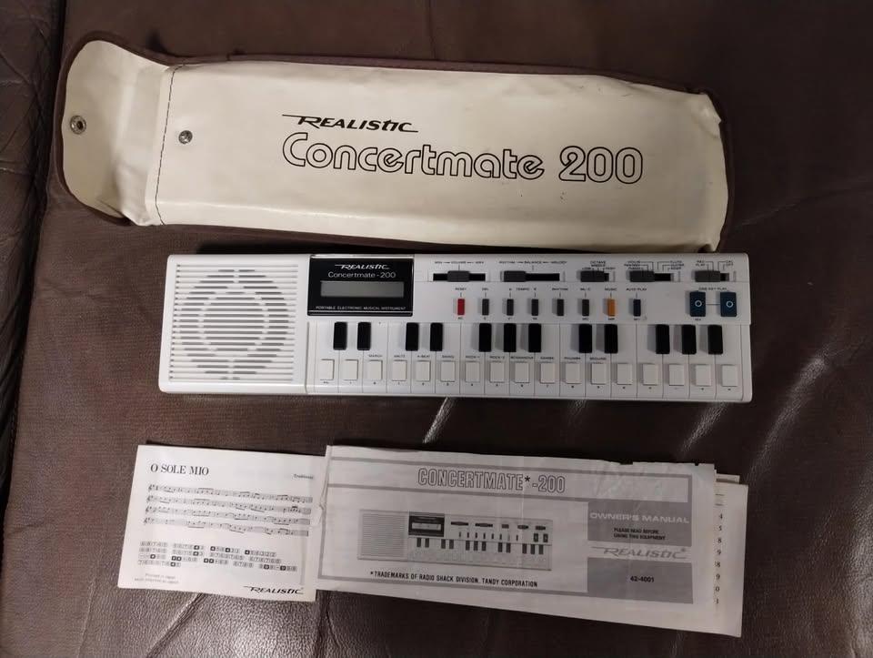 Vintage 80's Realistic Concertmate 200