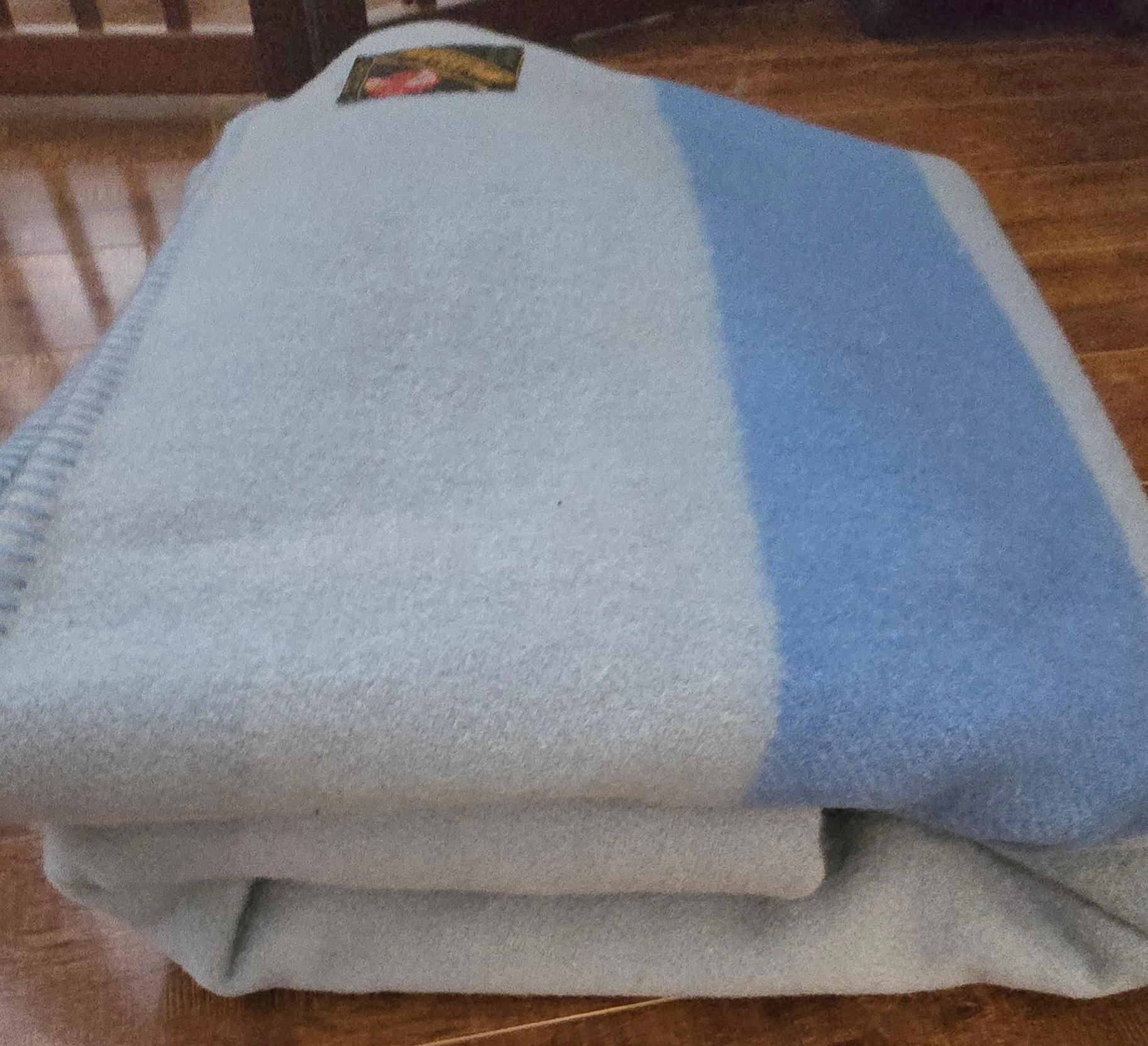 VINTAGE EATON'S 4 POINT 100% WOOL TRAPPER BLANKET BLUE on BLUE - photo 5