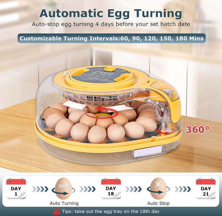 Egg Incubator – Auto Turner, Temp & Humidity Control - photo 2