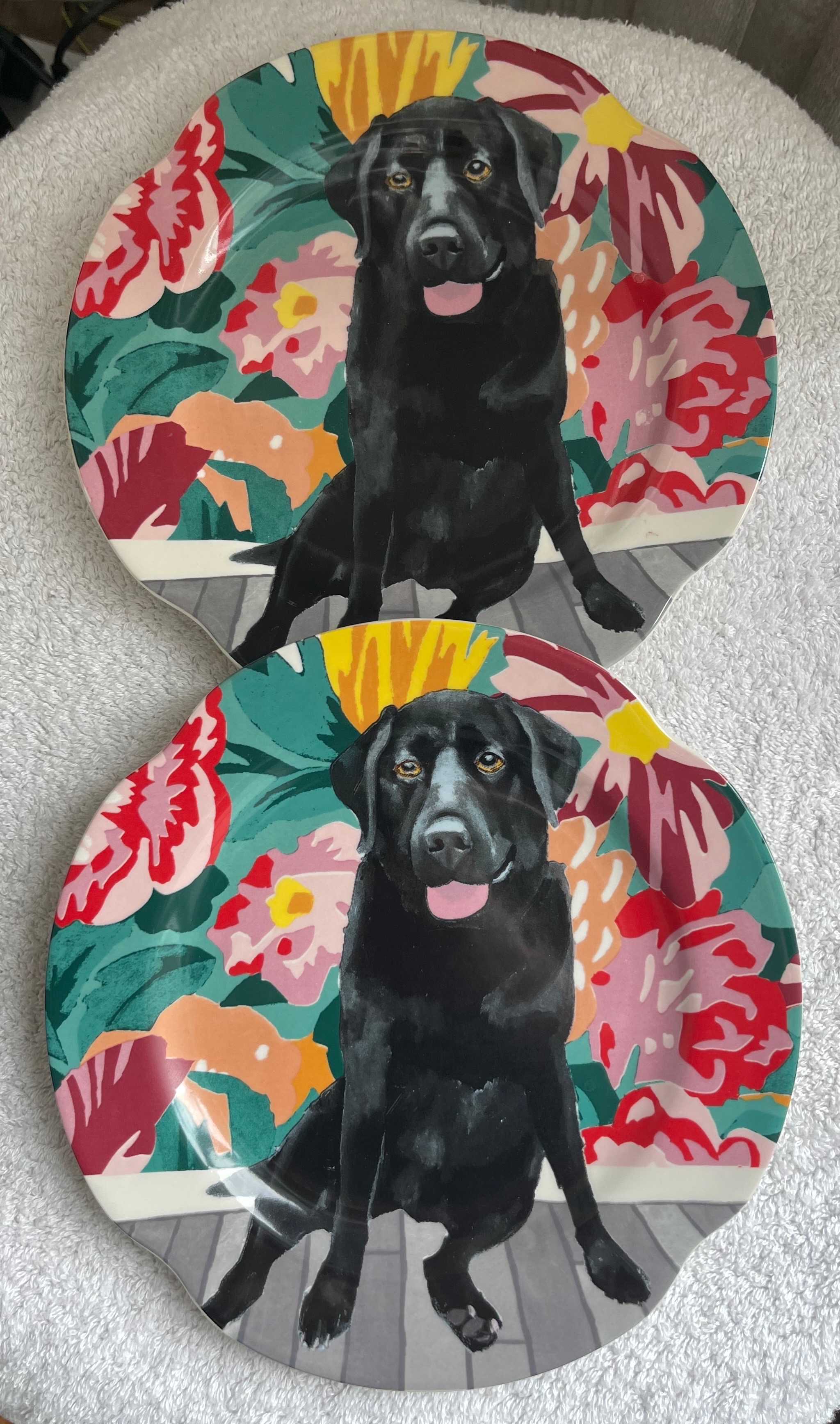 Anthropologie x Jay McClellan Lab Plates (Pair)